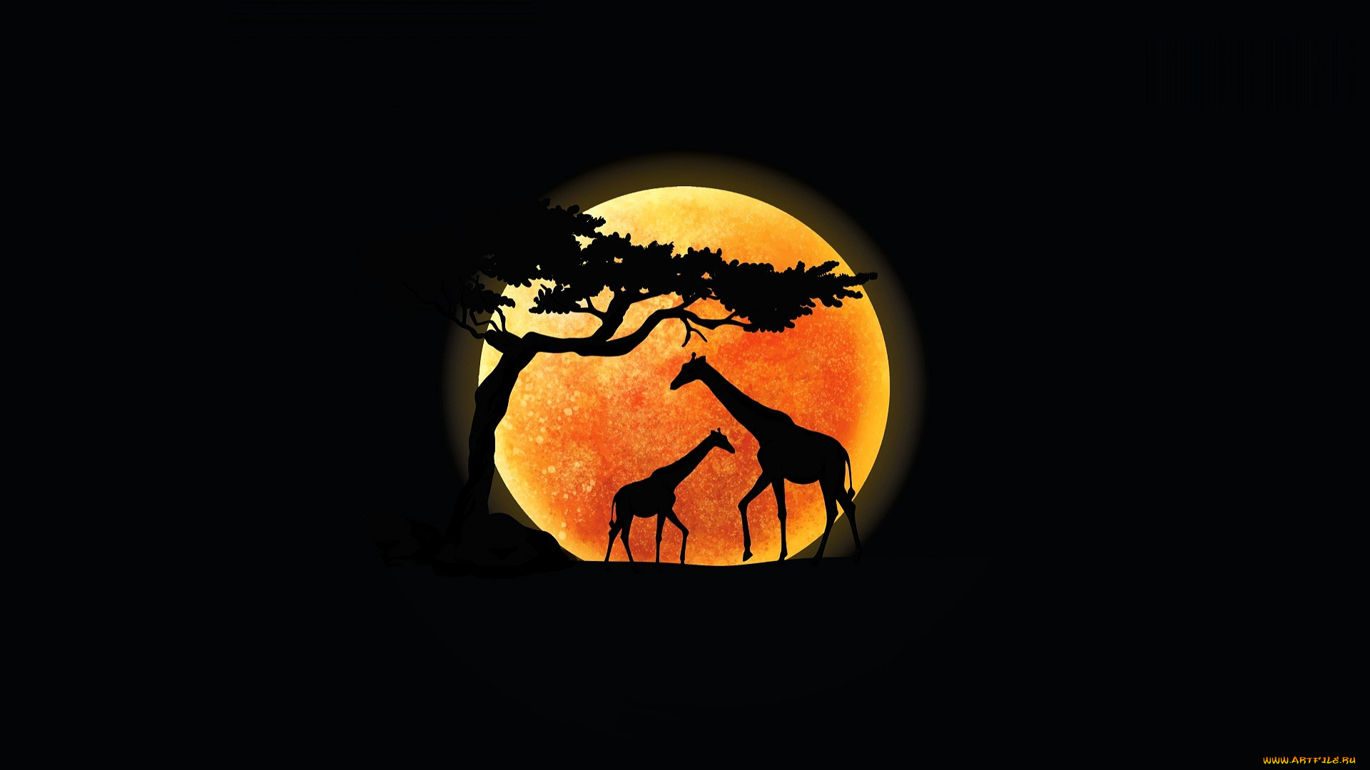 векторная, графика, животные, , animals, жирафы, луна, силуэты, дерево