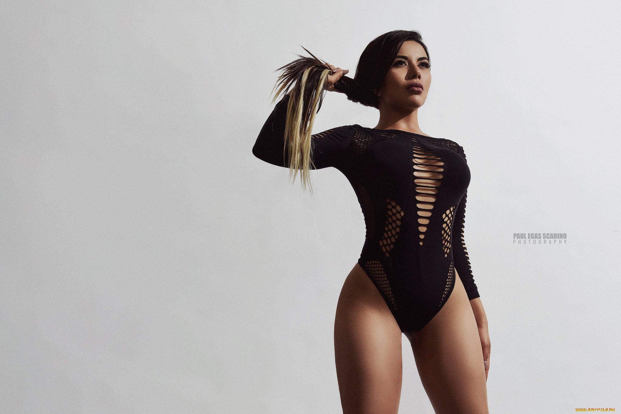 caro, gavilanes, девушки, -, брюнетки, , шатенки, девушка, модель, paul, egas, scarino