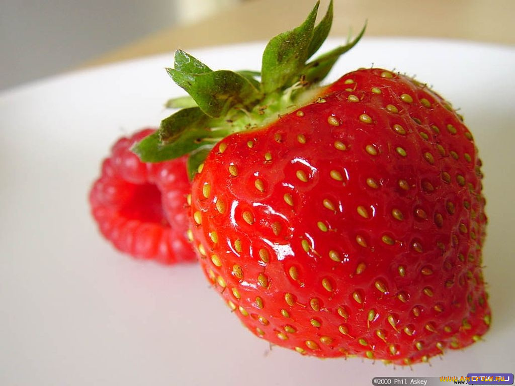 еда, фрукты, ягоды