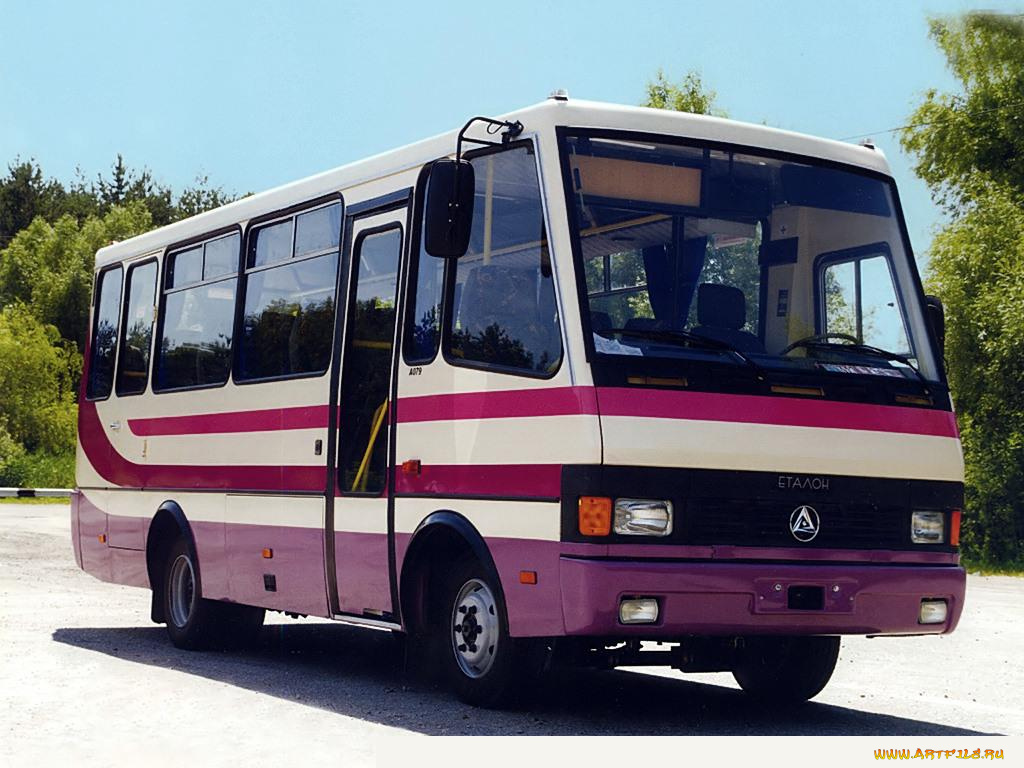 автомобили, автобусы