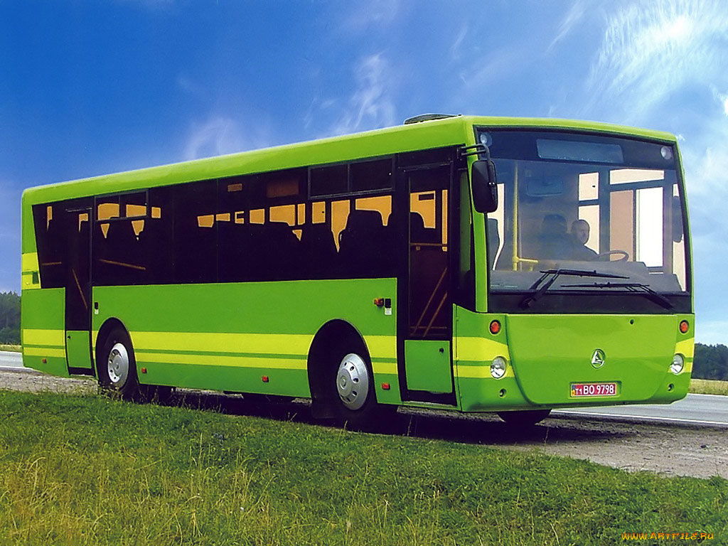 автомобили, автобусы