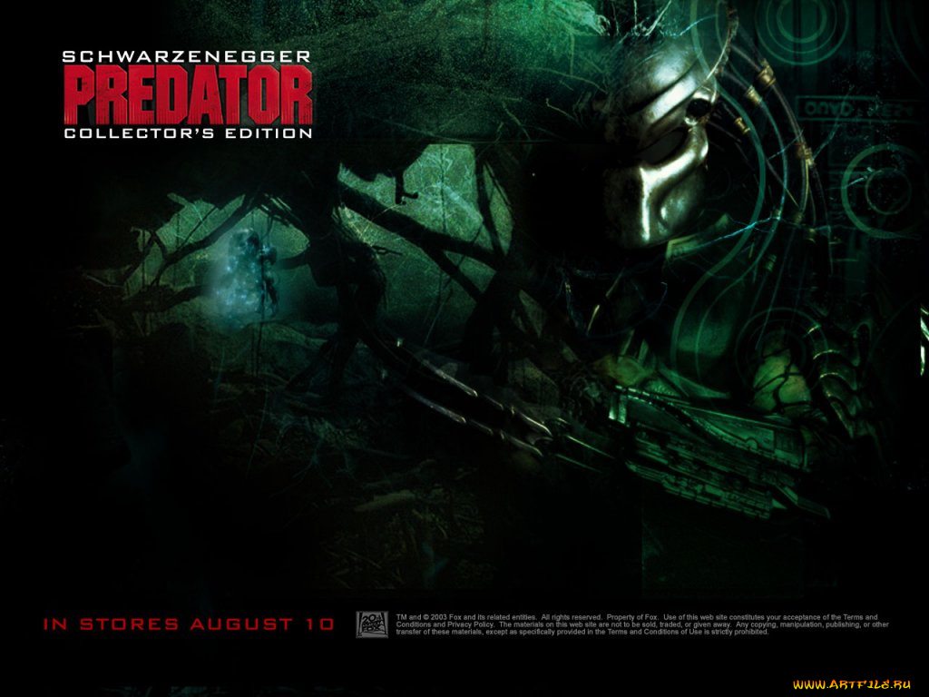 кино, фильмы, predator