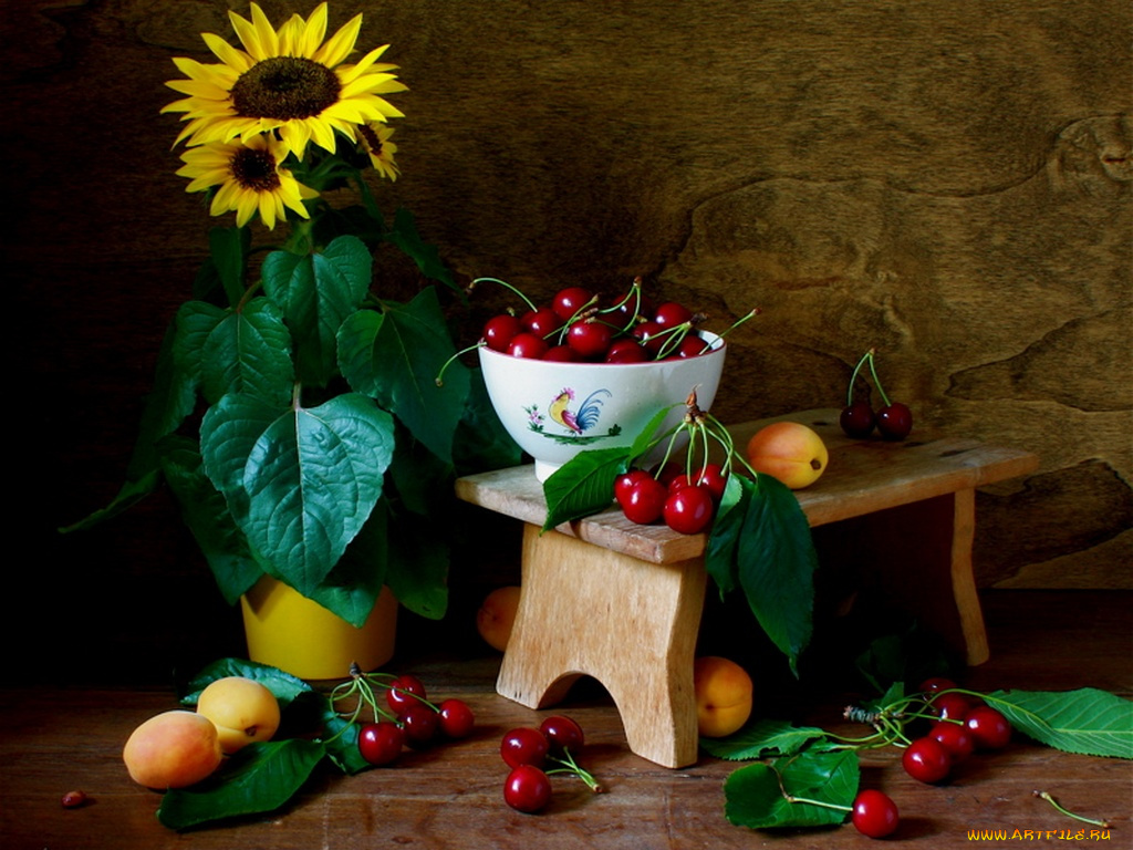 надежда, былкова, подсолнухом, черешней, еда, натюрморт