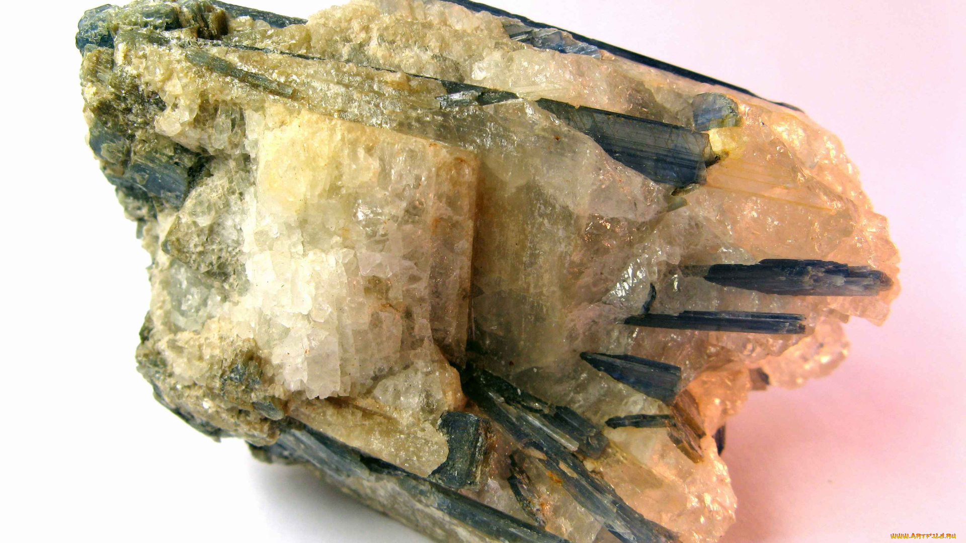 разное, ракушки, кораллы, декоративные, spa, камни