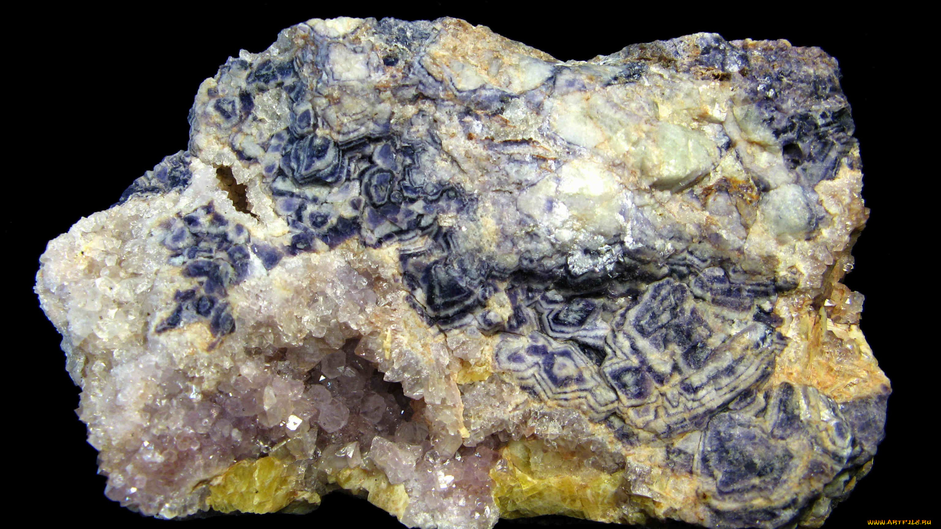 разное, ракушки, кораллы, декоративные, spa, камни