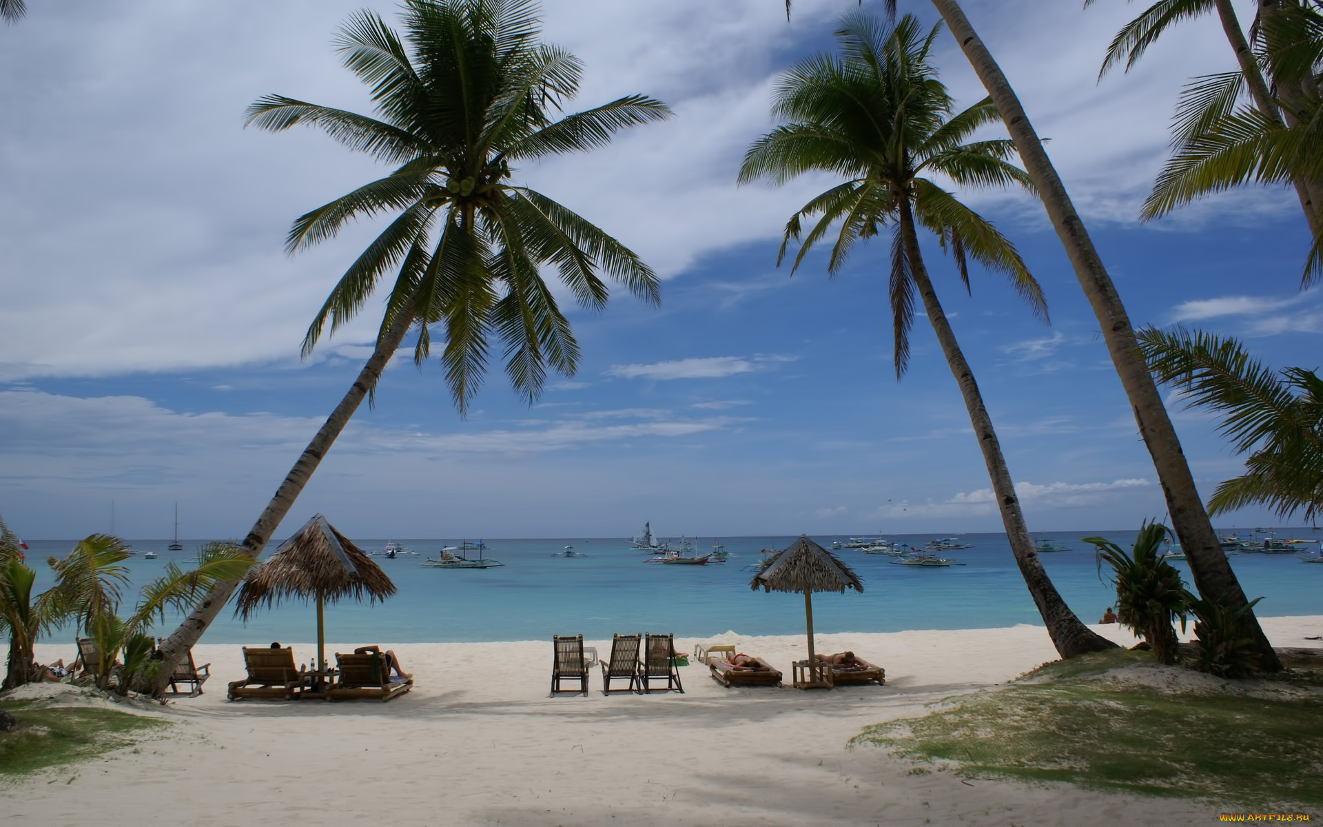 природа, тропики