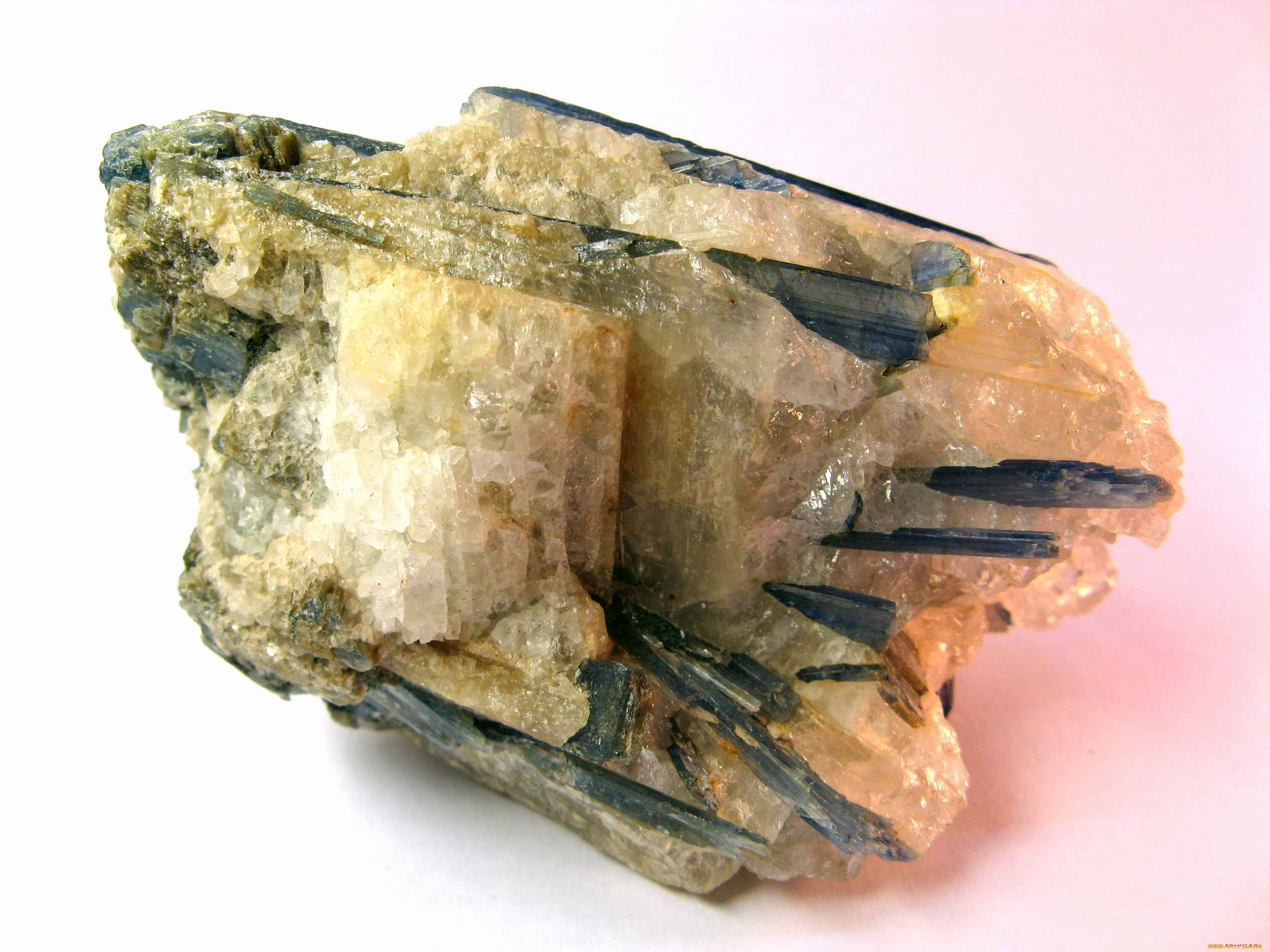 разное, ракушки, кораллы, декоративные, spa, камни