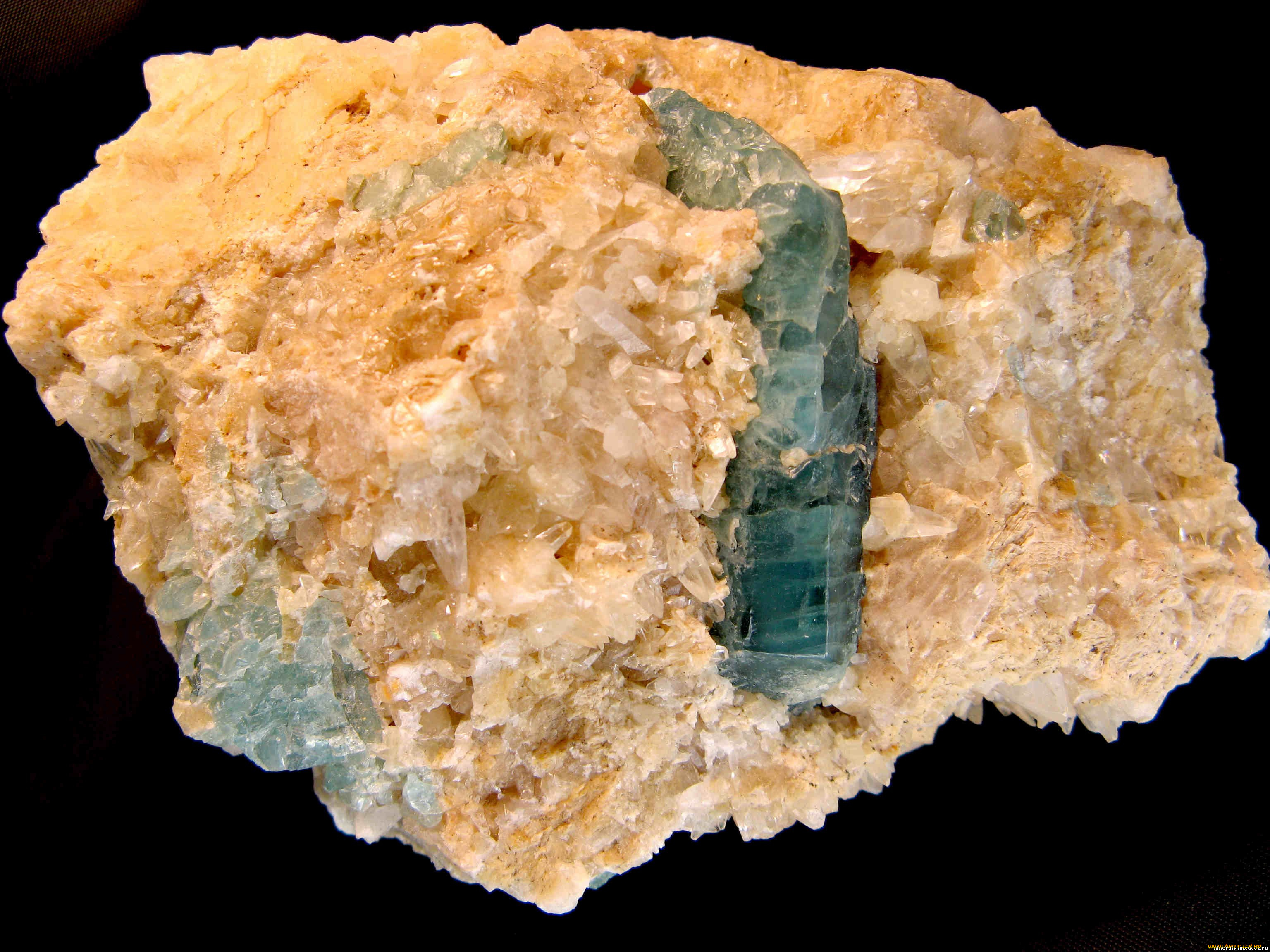 разное, ракушки, кораллы, декоративные, spa, камни