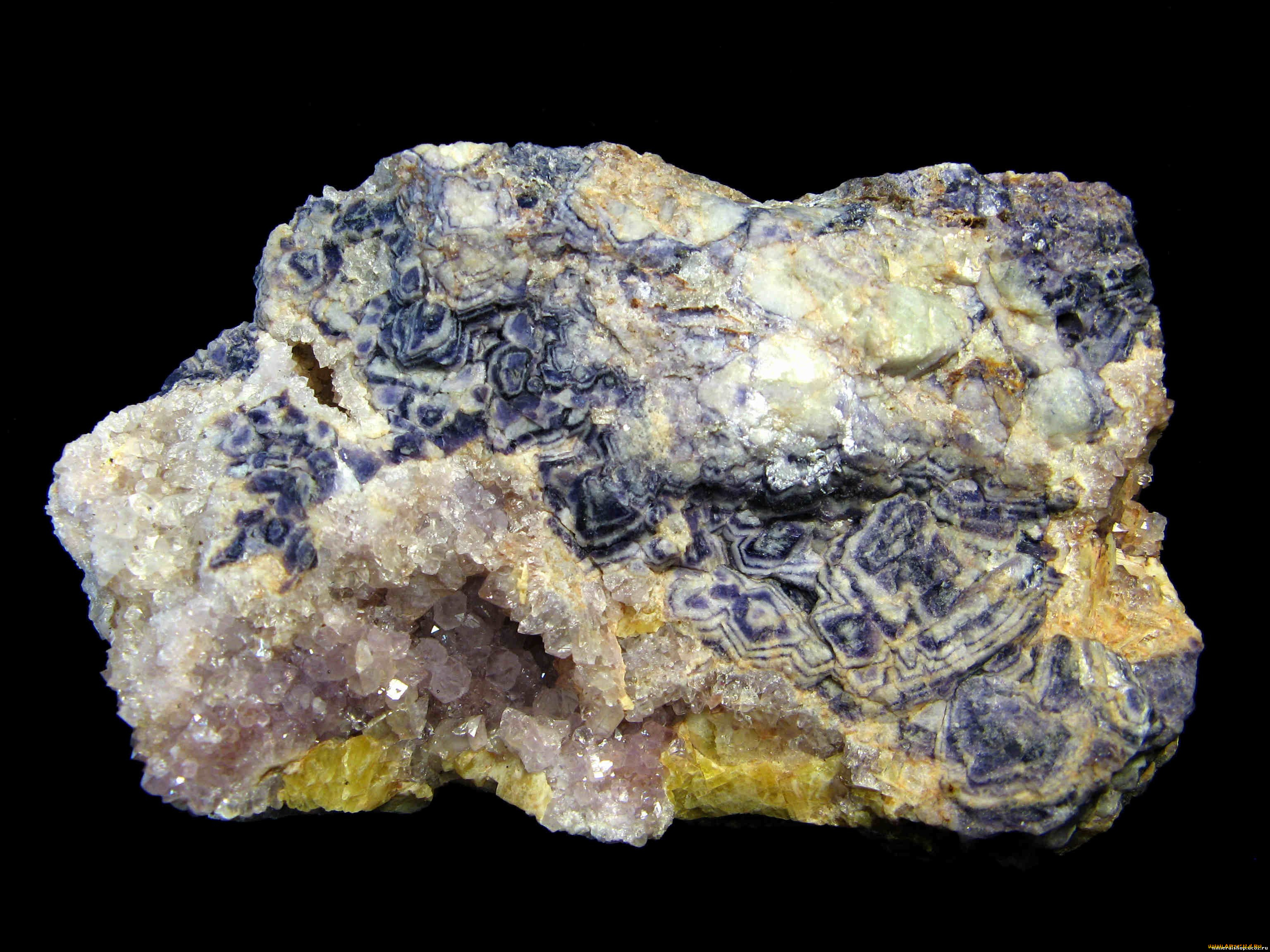 разное, ракушки, кораллы, декоративные, spa, камни