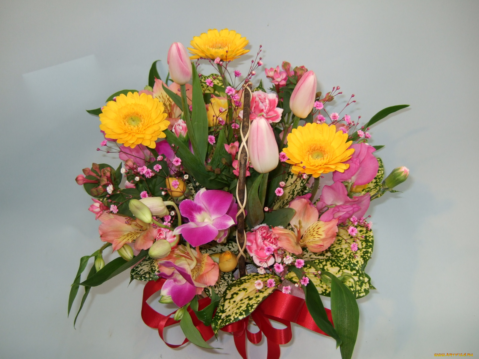 цветы, букеты, композиции