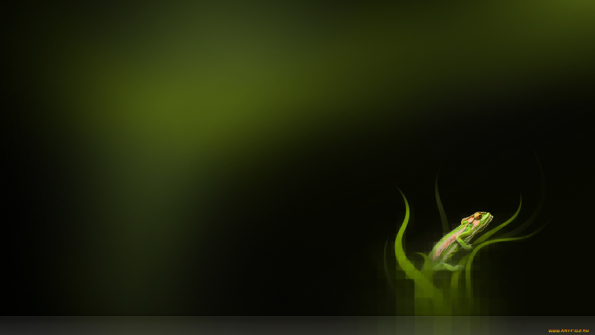 3д, графика, animals, животные, тёмный, ящерица