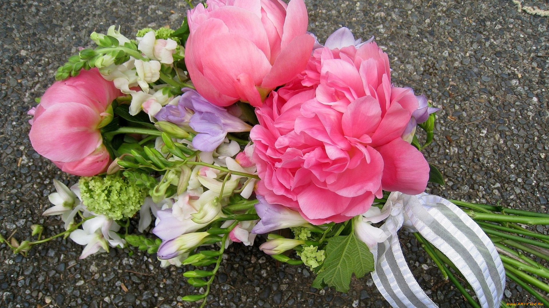 цветы, букеты, композиции, фрезии, пионы