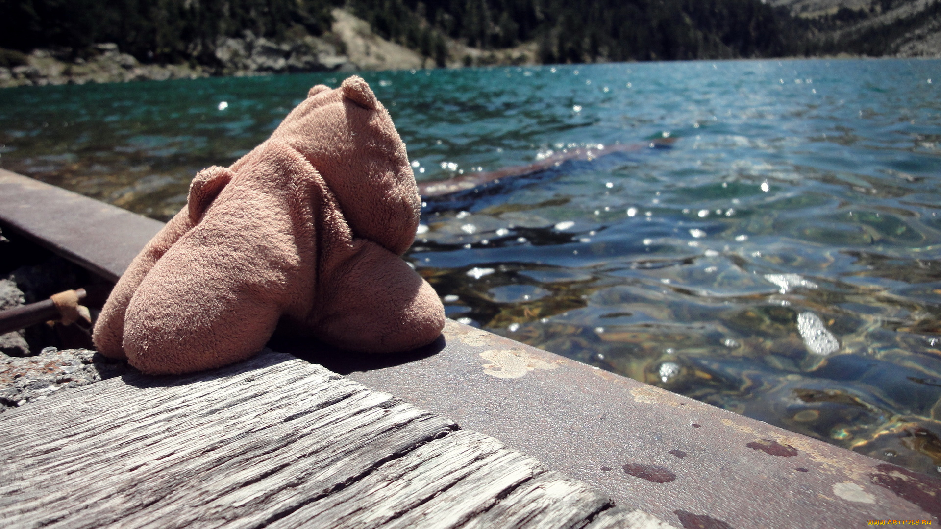 разное, игрушки, игрушка, вода