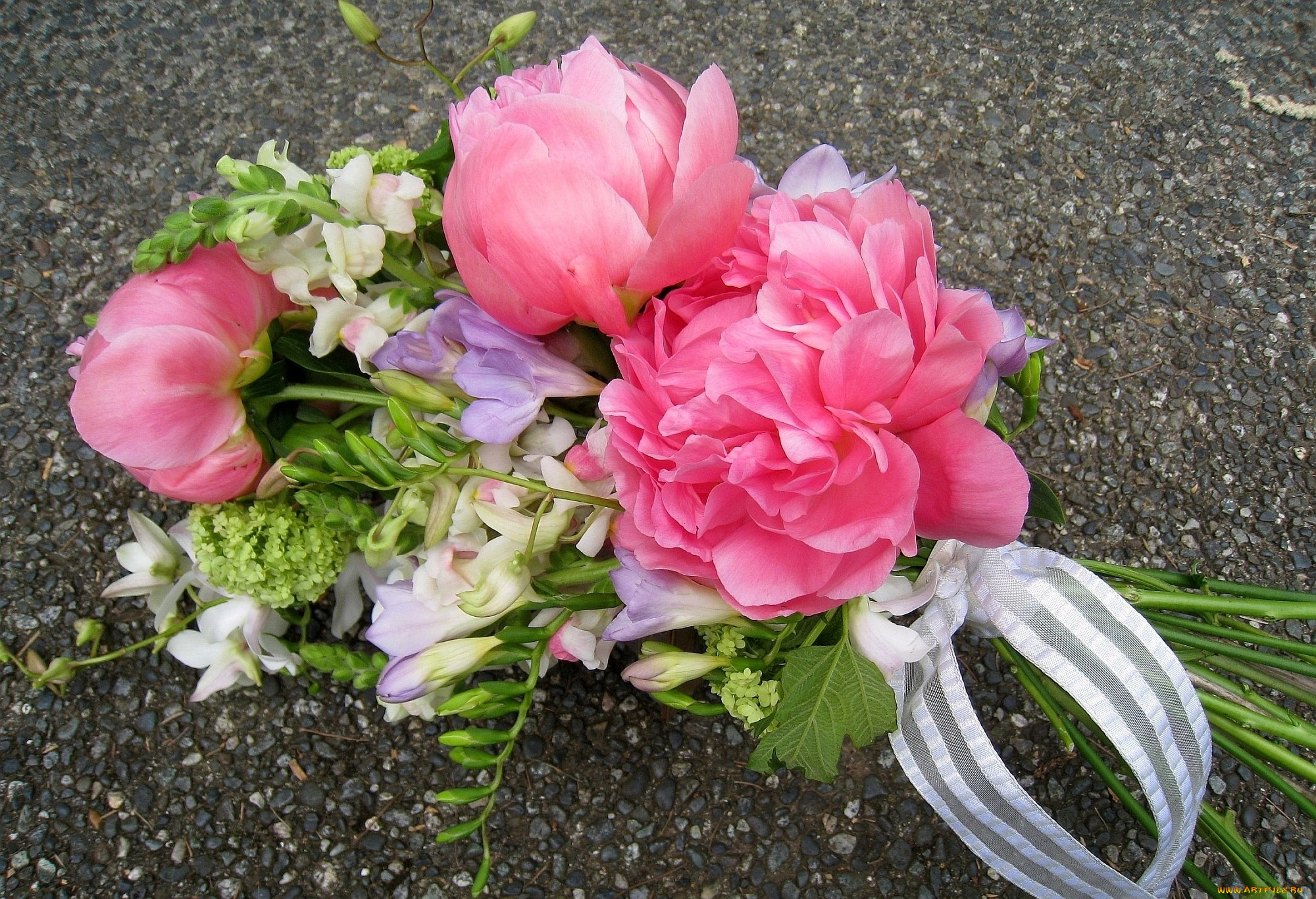 цветы, букеты, композиции, фрезии, пионы