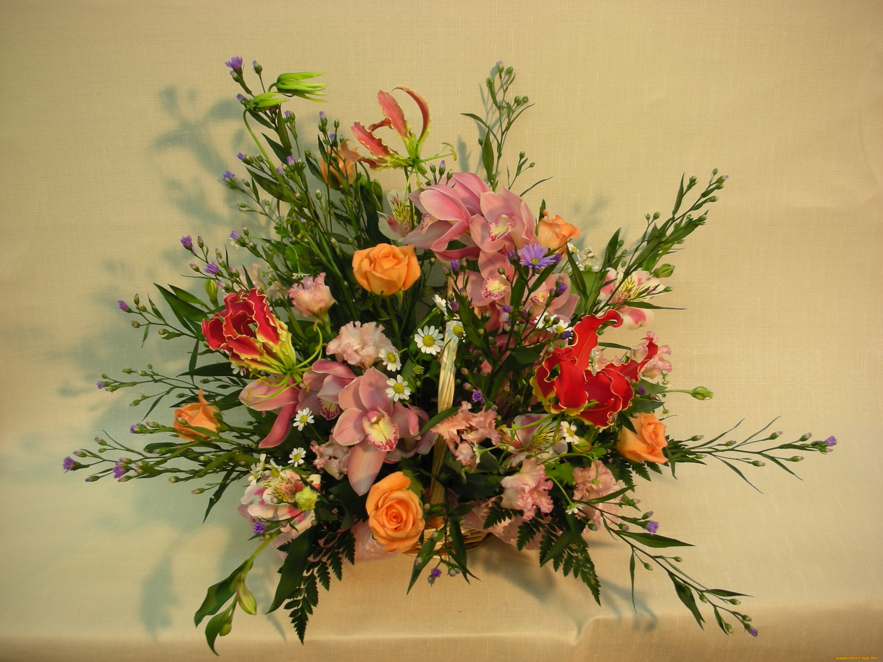 цветы, букеты, композиции