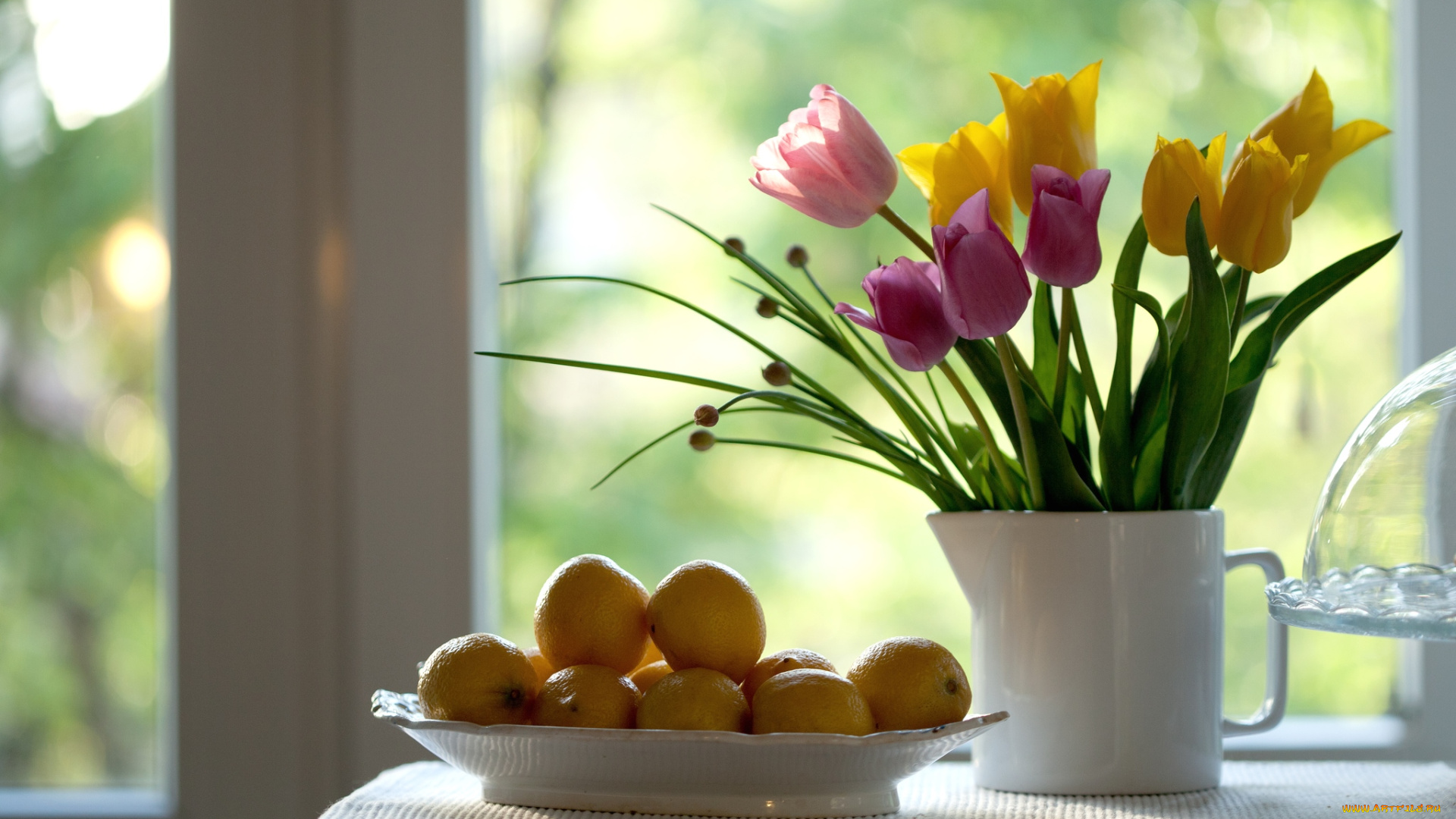 еда, цитрусы, тюльпаны, лимоны