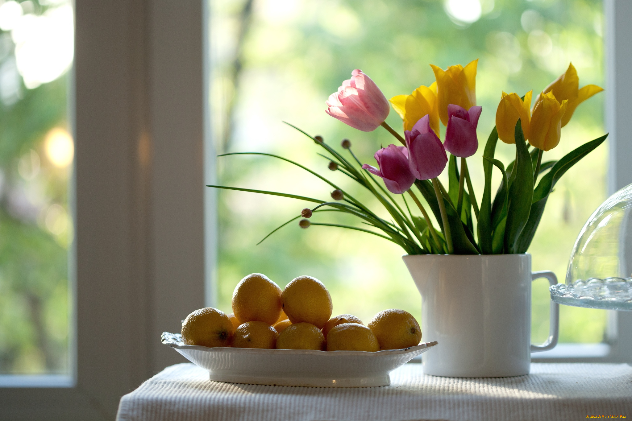 еда, цитрусы, тюльпаны, лимоны
