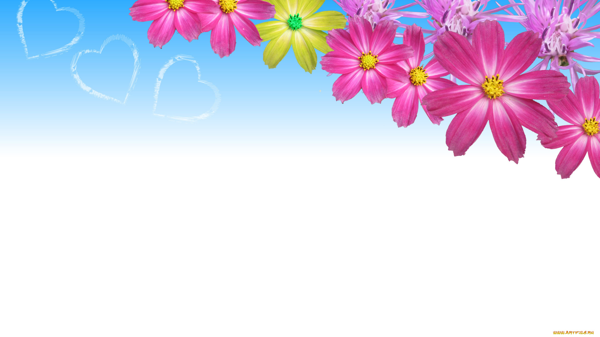 разное, компьютерный, дизайн, лепестки