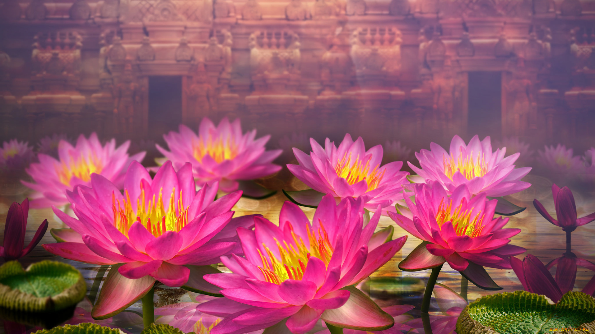 разное, компьютерный, дизайн, листья, водяные, лилии, цветы