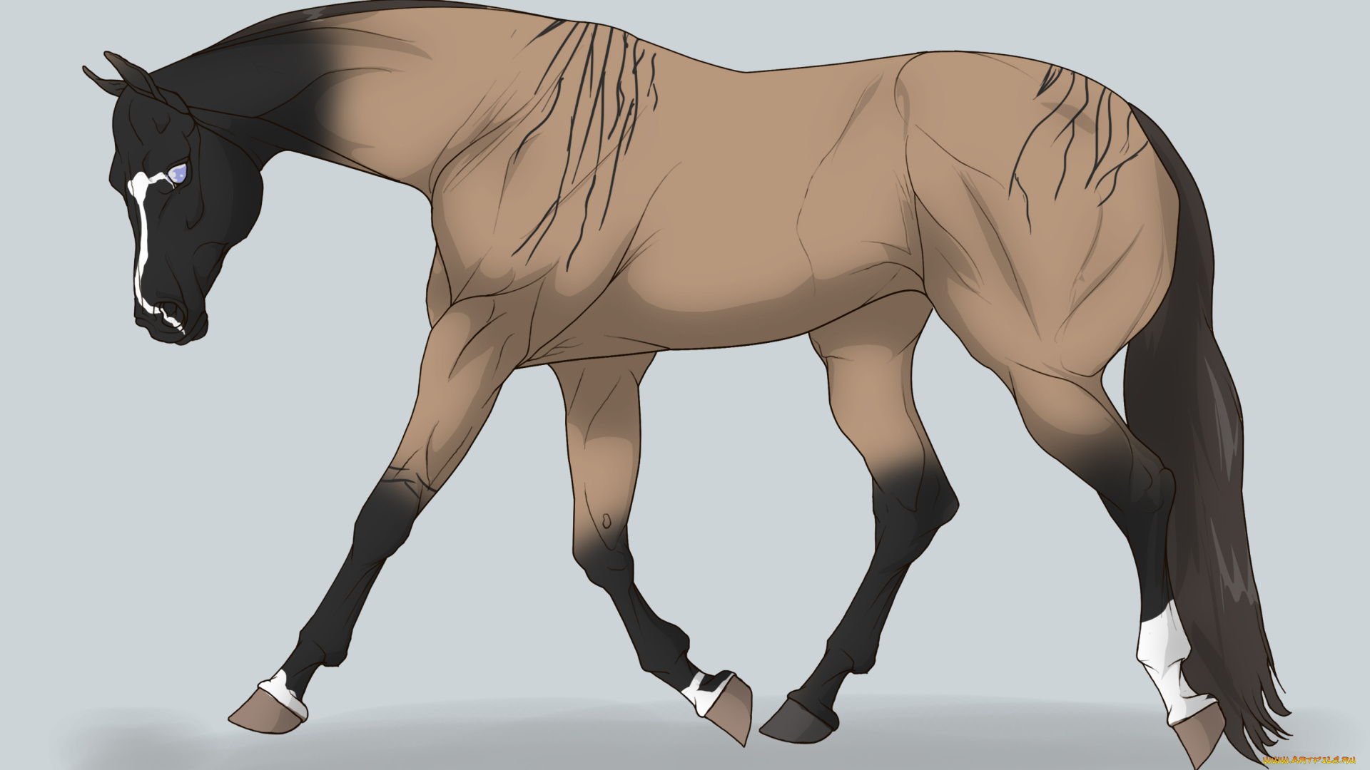 рисованные, животные, , лошади, лошадь