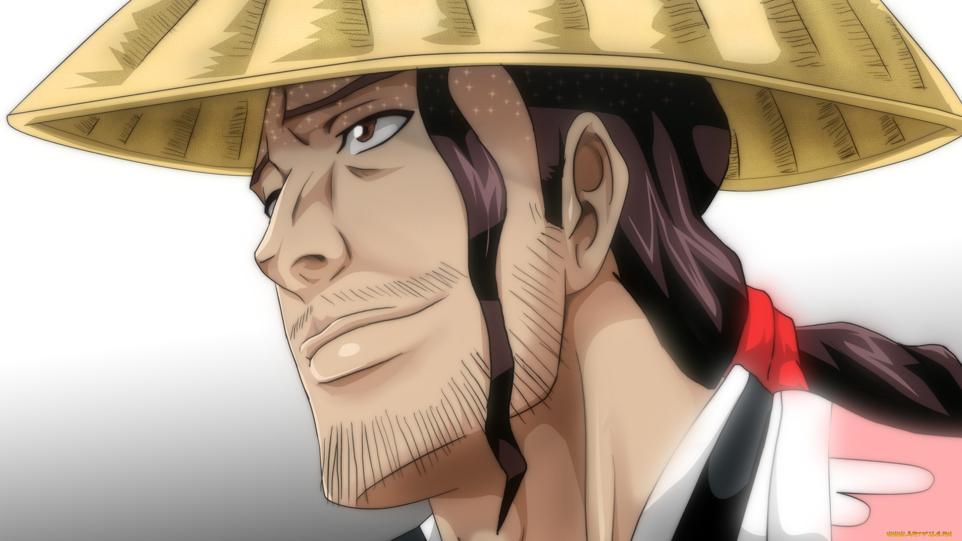 векторная, графика, люди, мужчина, шляпа