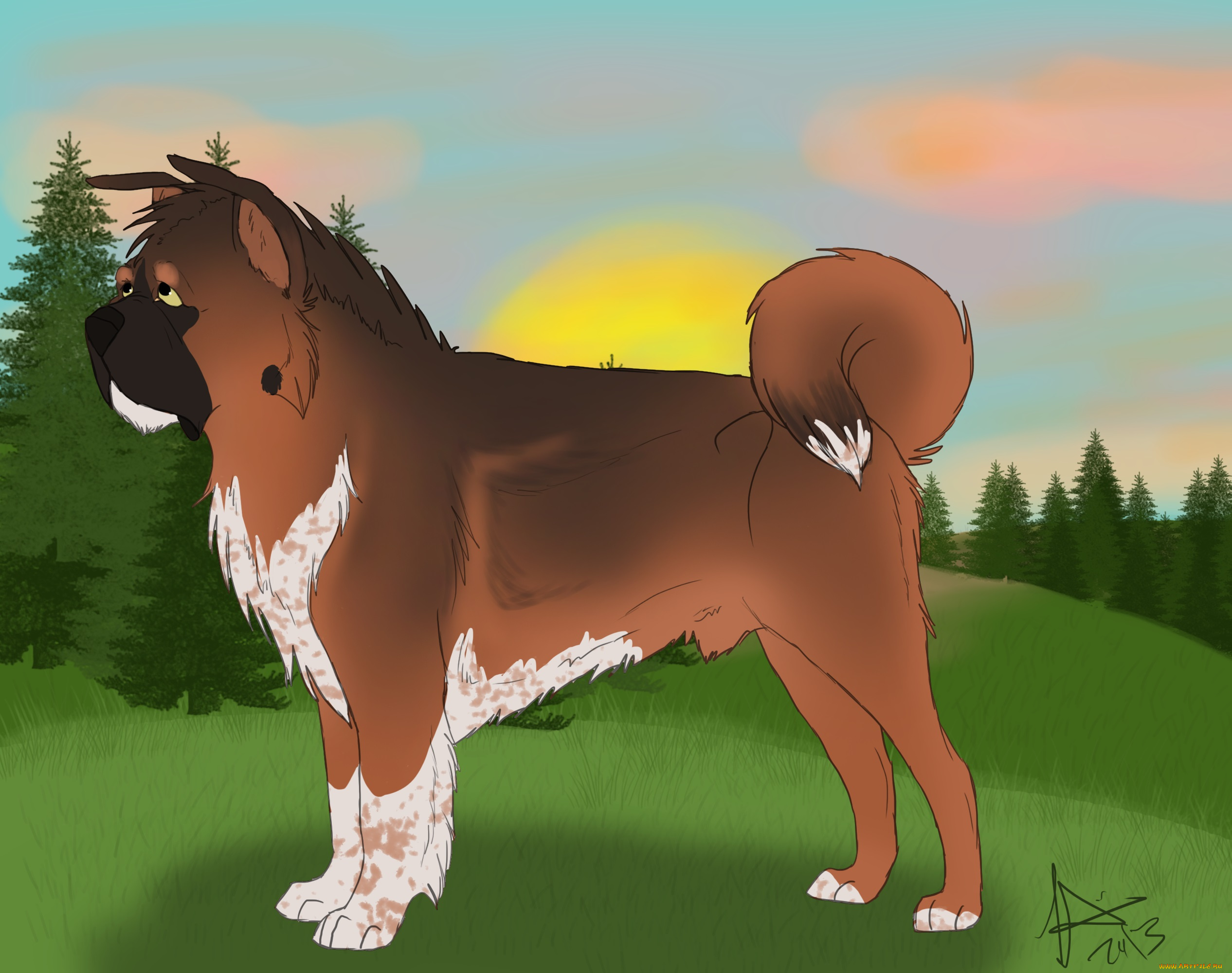 рисованные, животные, , собаки, собака