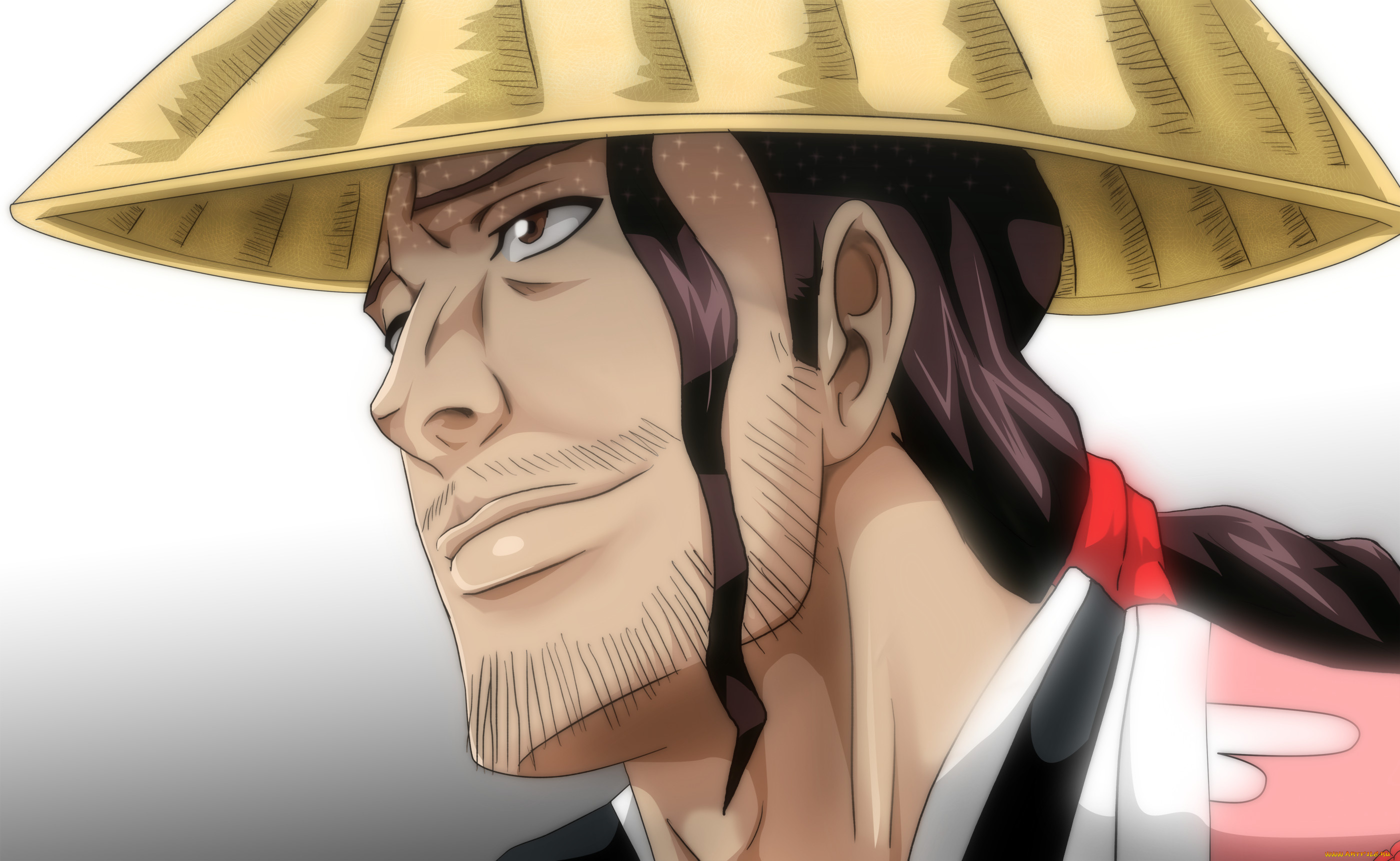 векторная, графика, люди, мужчина, шляпа