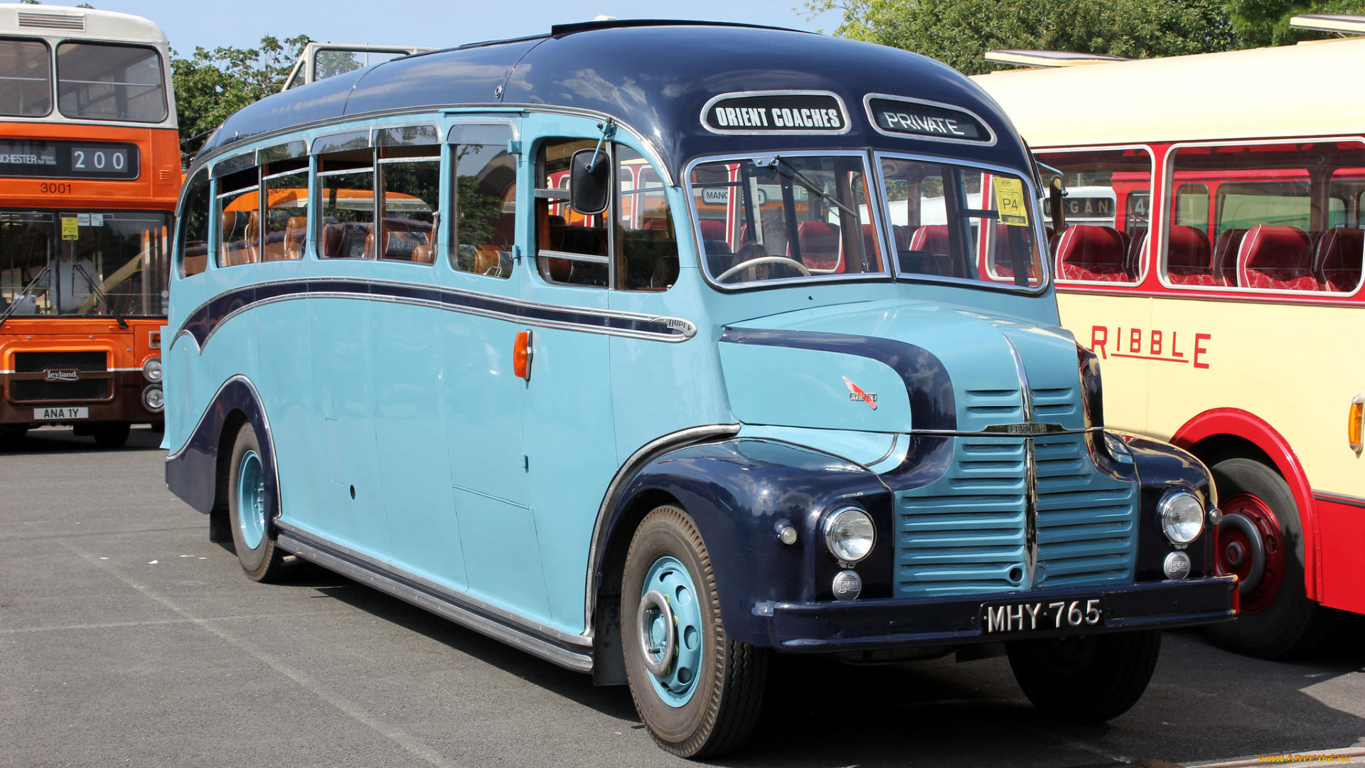 автомобили, автобусы, пассажирский, транспорт