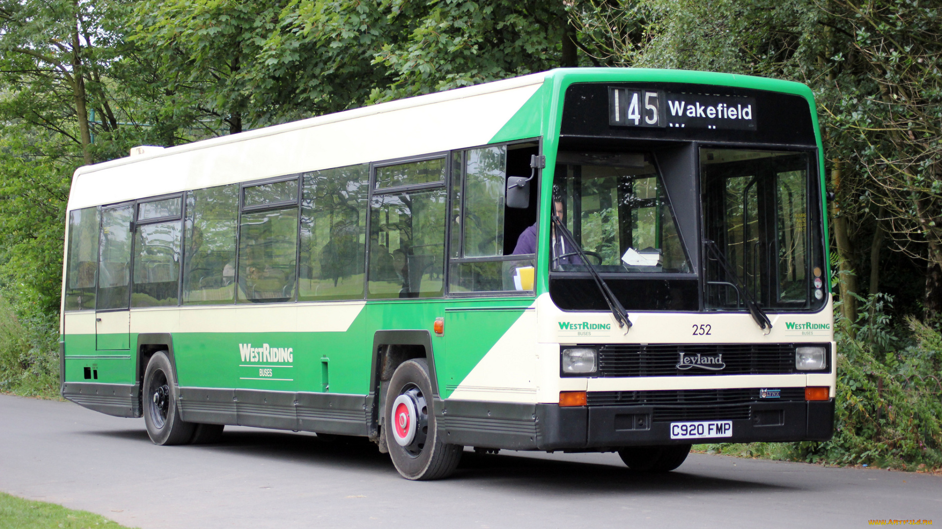 автомобили, автобусы, транспорт, пассажирский