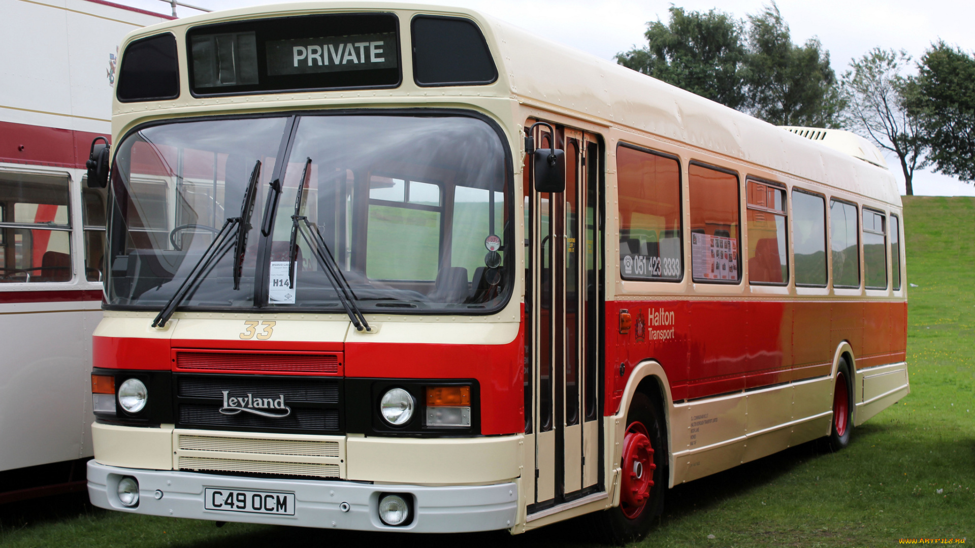 автомобили, автобусы, транспорт, пассажирский