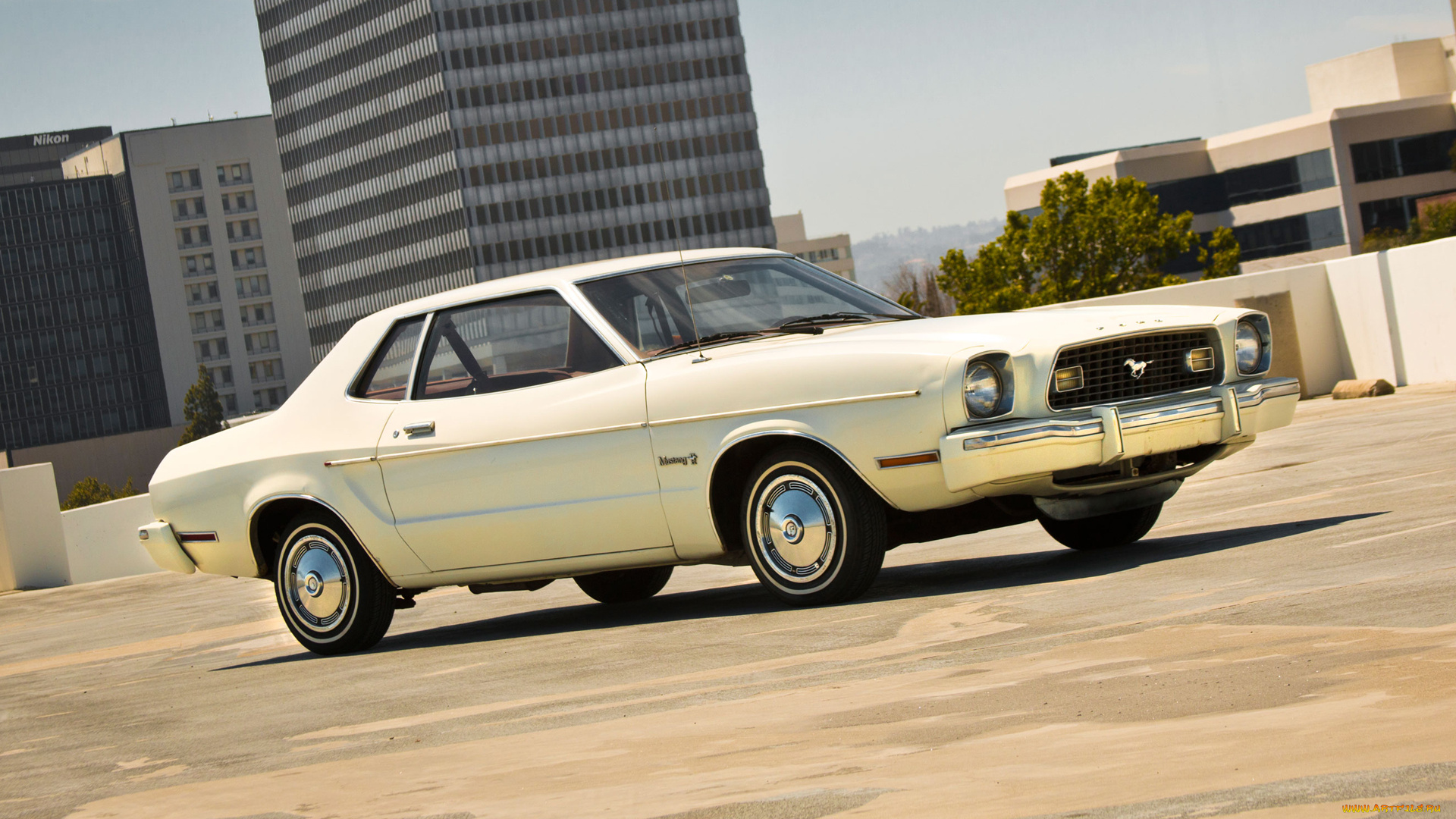 автомобили, mustang