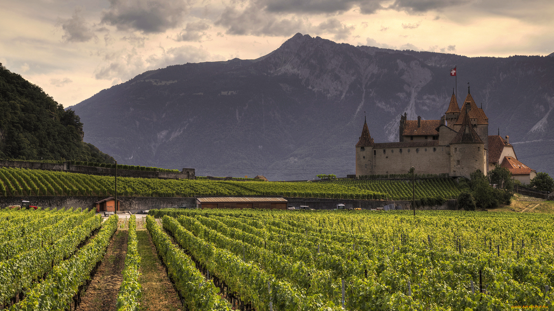 castle, and, wine, города, замки, швейцарии, виноградники, замок