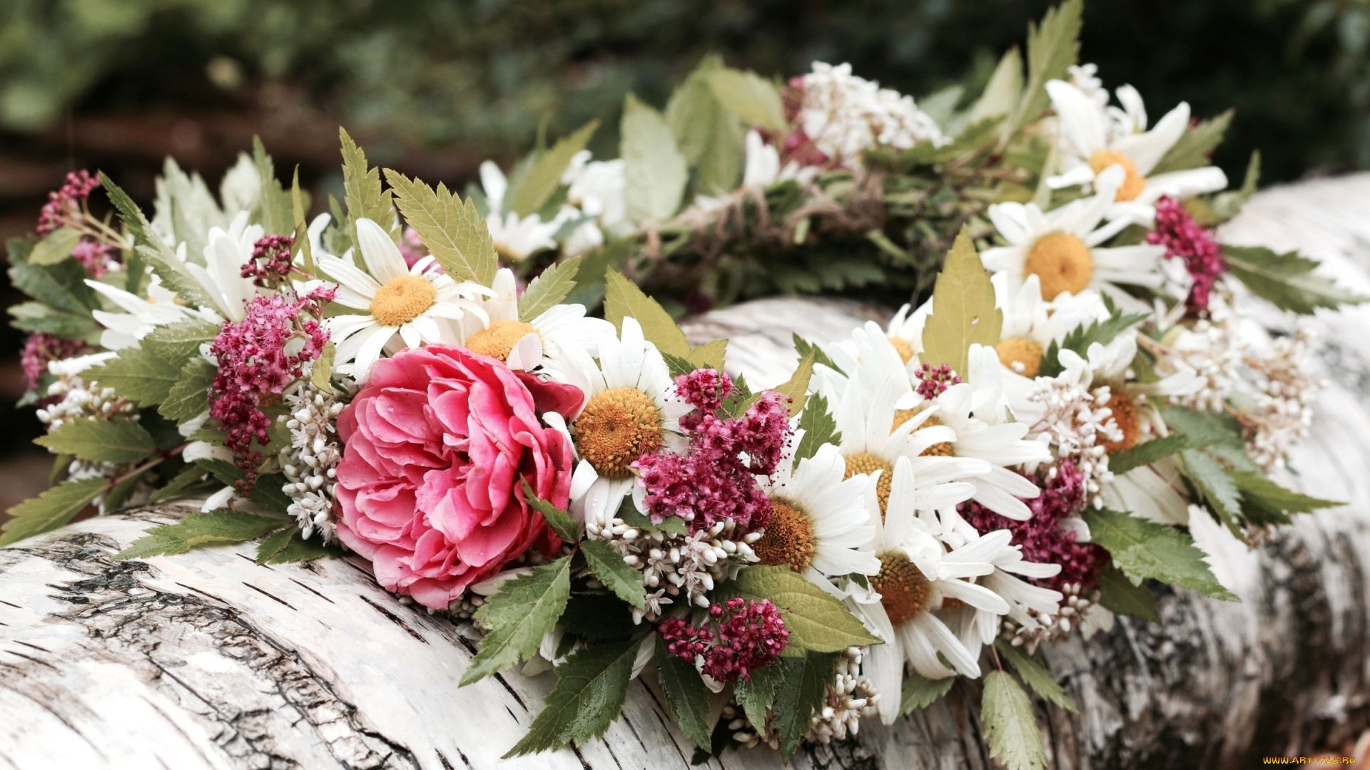 цветы, букеты, , композиции, венок, береза, ромашки, роза