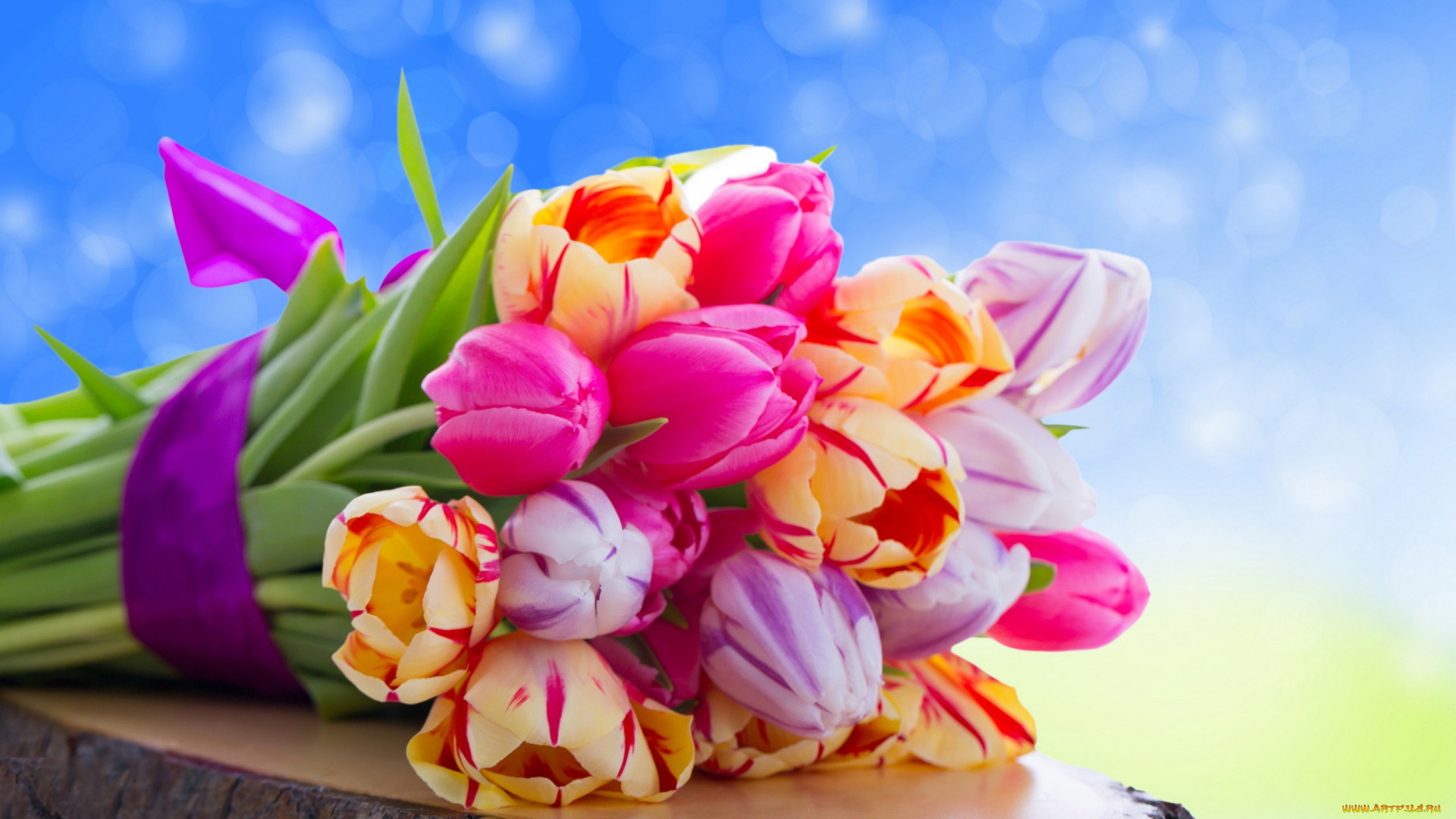 цветы, тюльпаны, нежно, голубой