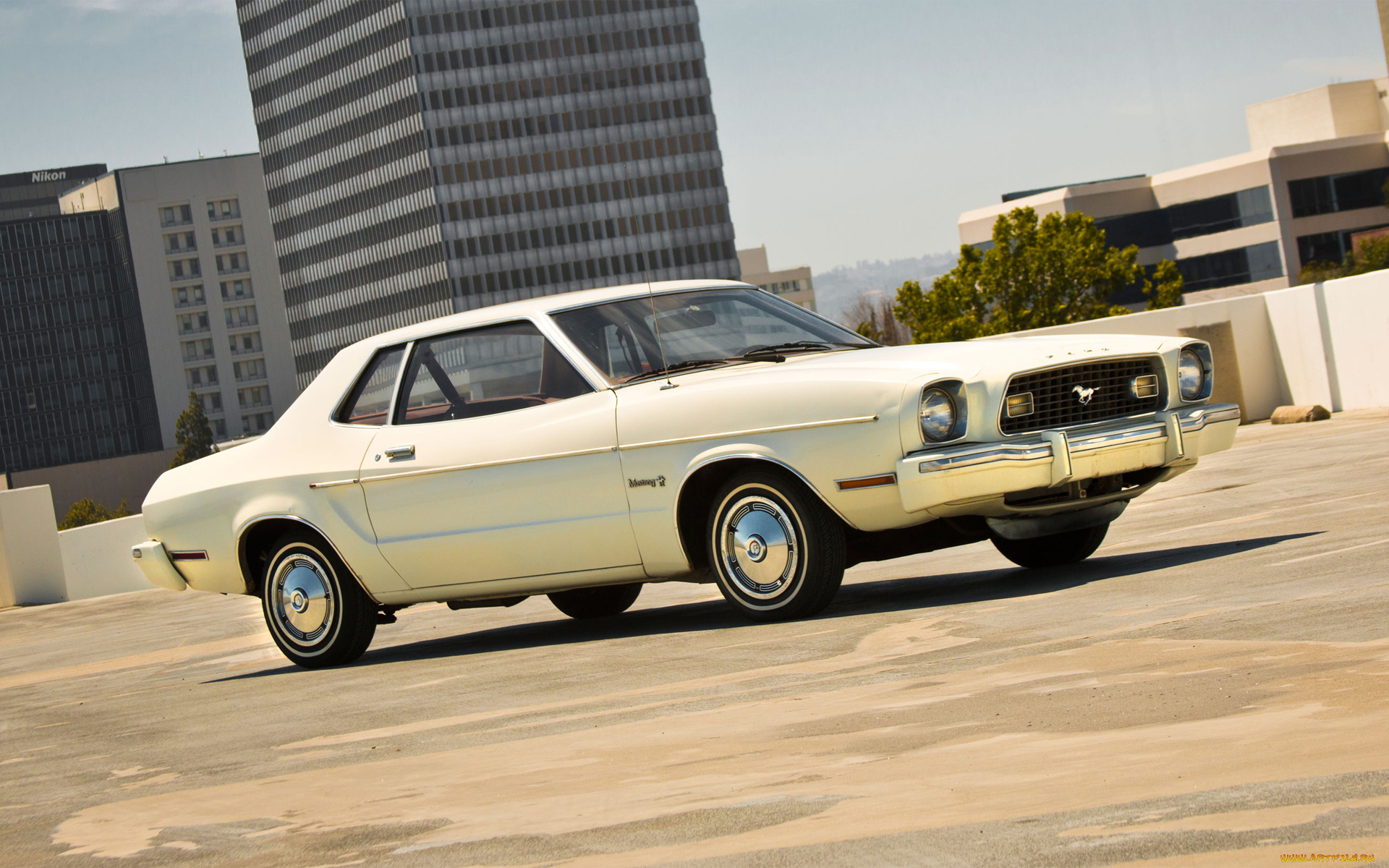 автомобили, mustang