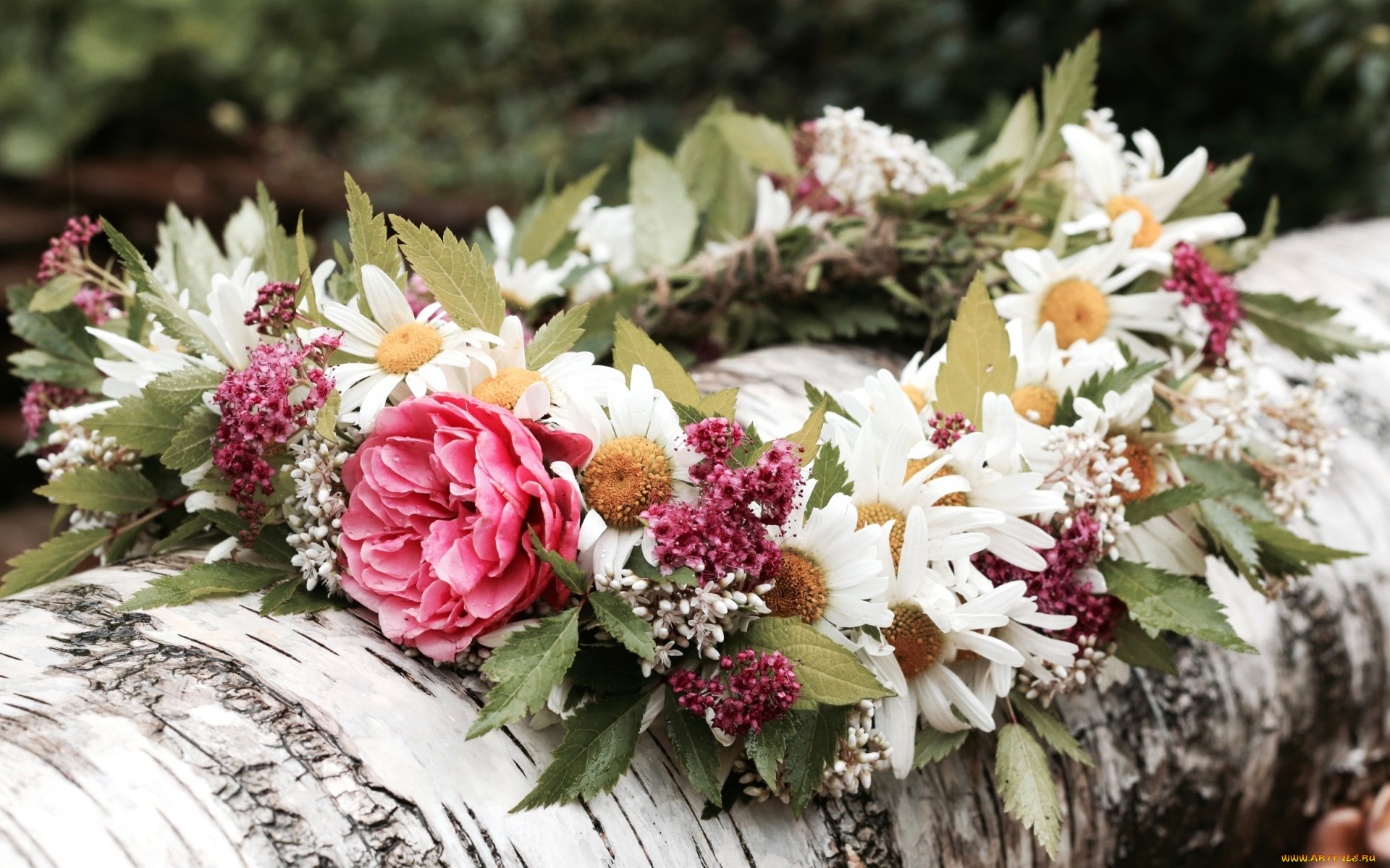 цветы, букеты, , композиции, венок, береза, ромашки, роза