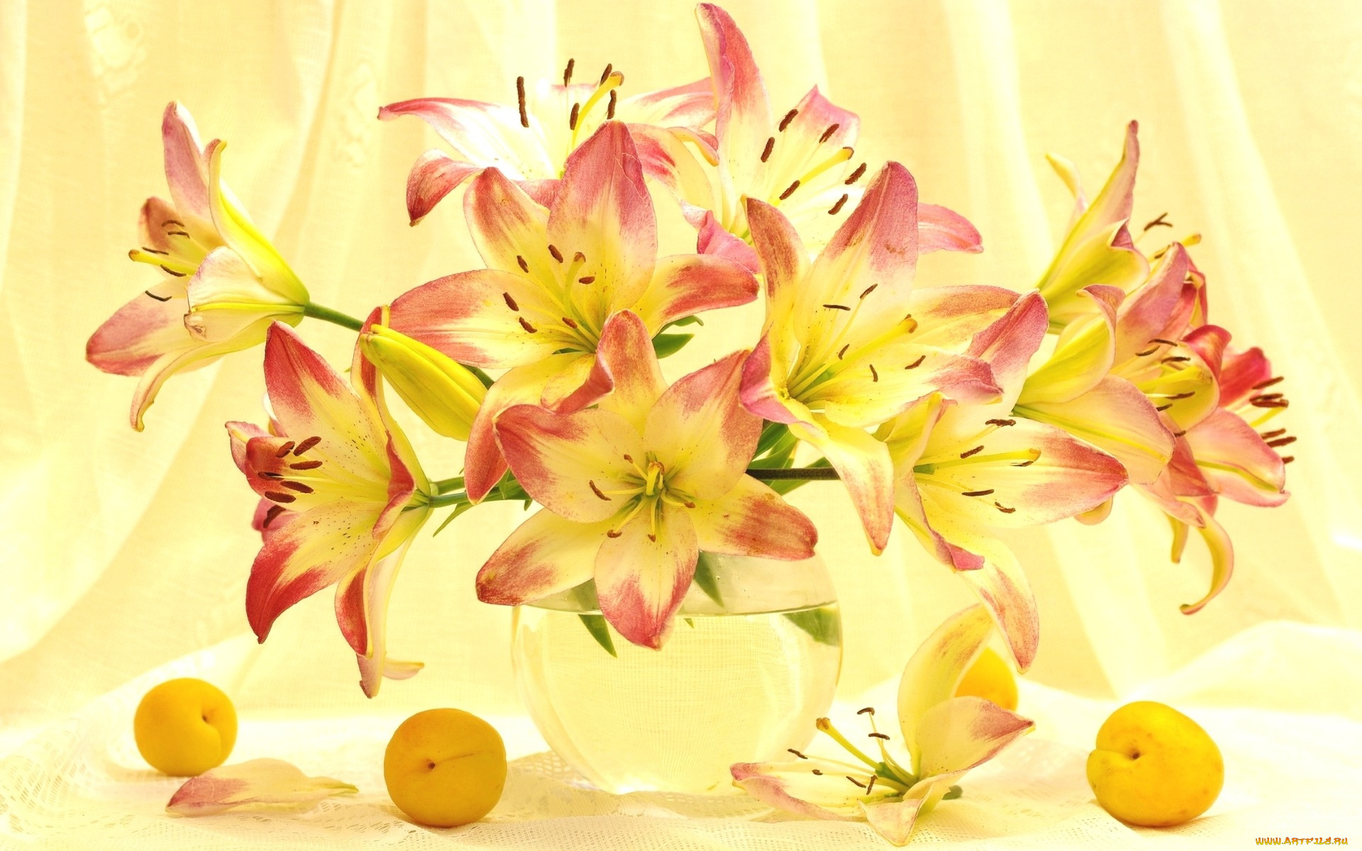цветы, лилии, , лилейники, свет, абрикосы, лето, букет
