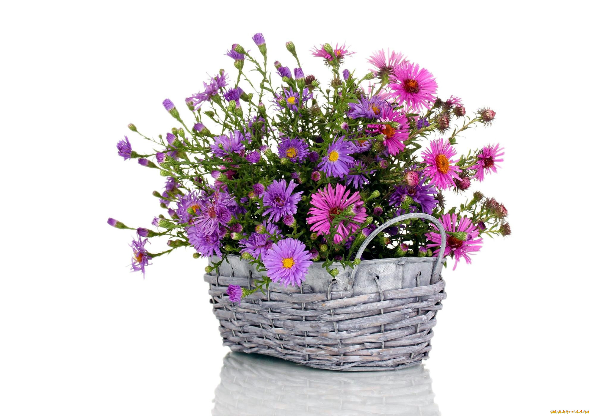 цветы, букеты, , композиции, корзинка