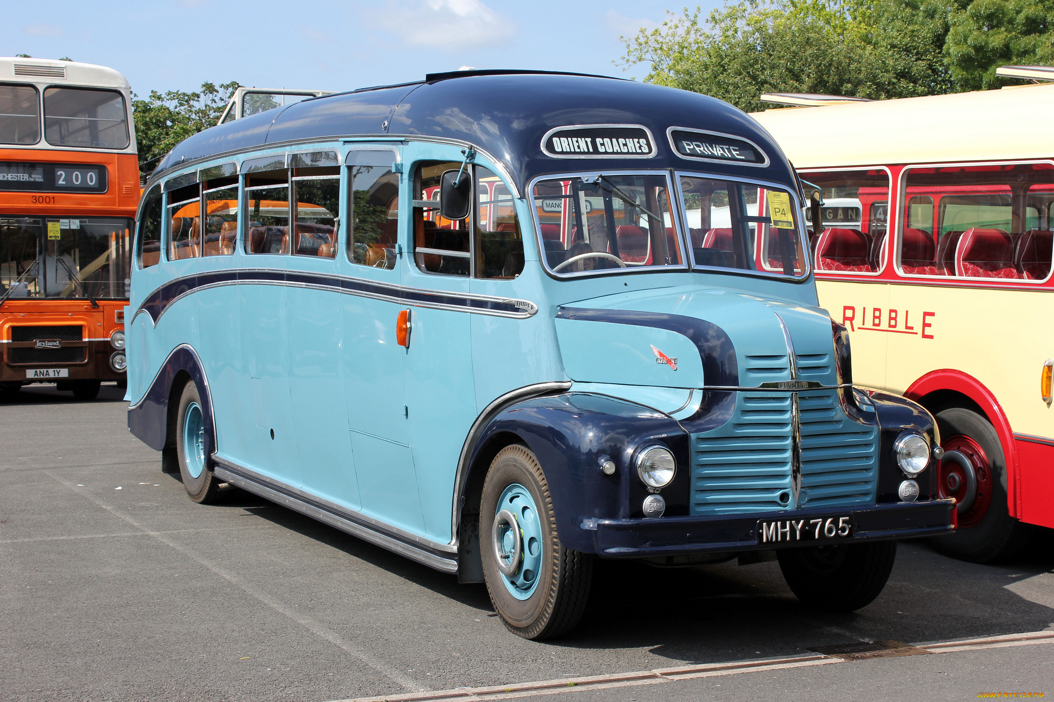 автомобили, автобусы, пассажирский, транспорт