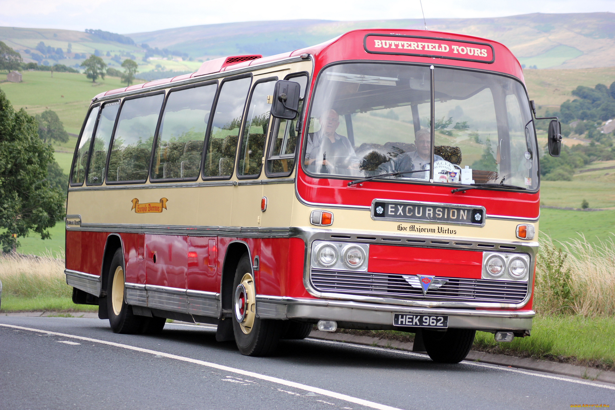 автомобили, автобусы, пассажирский, транспорт