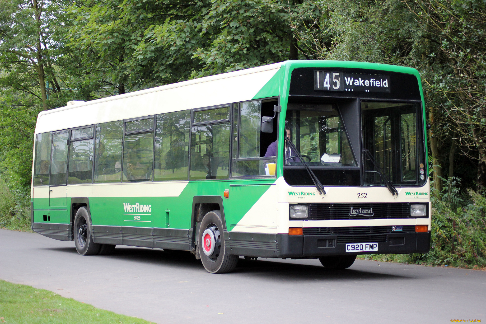 автомобили, автобусы, транспорт, пассажирский