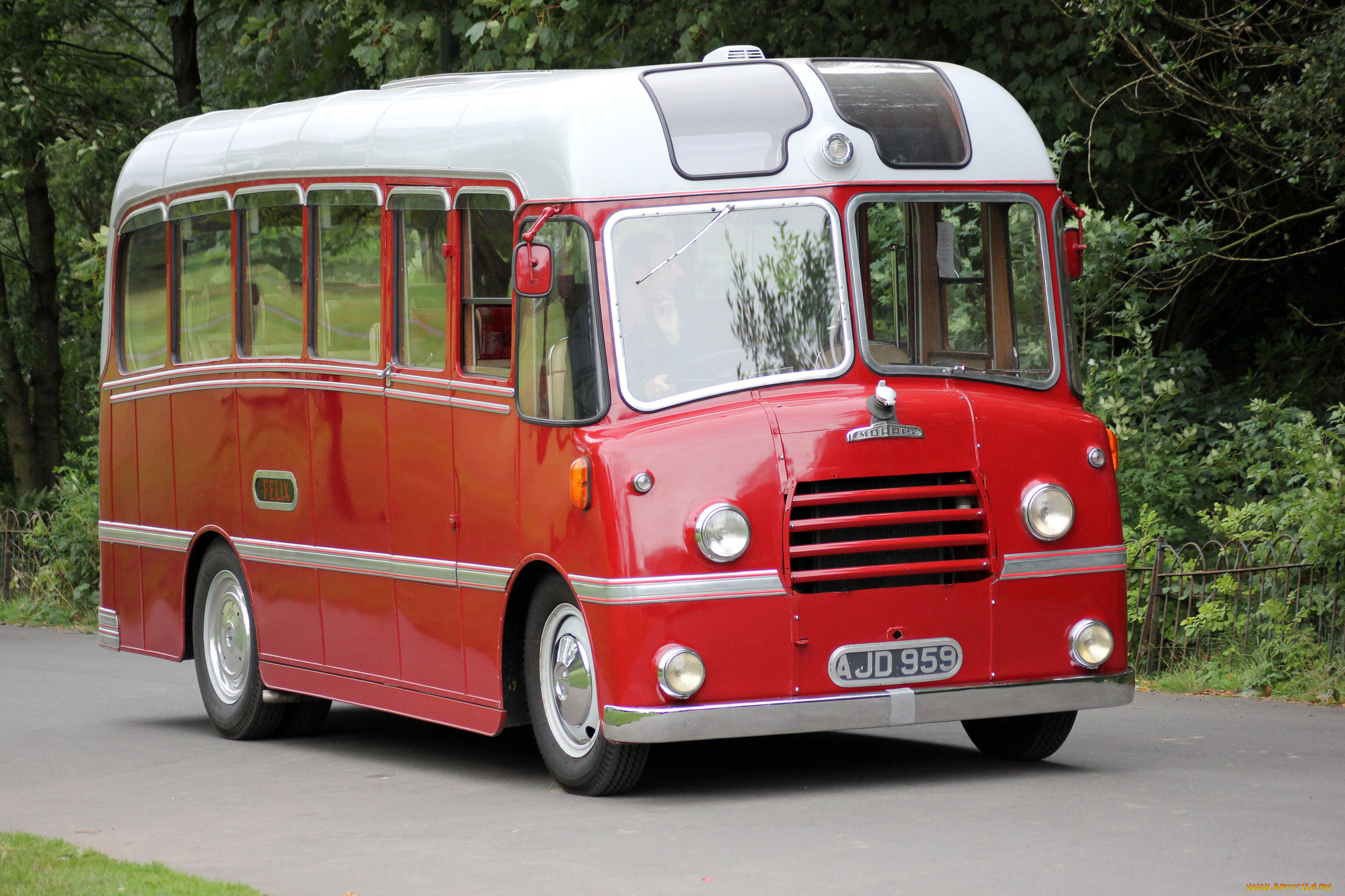 автомобили, автобусы, транспорт, пассажирский