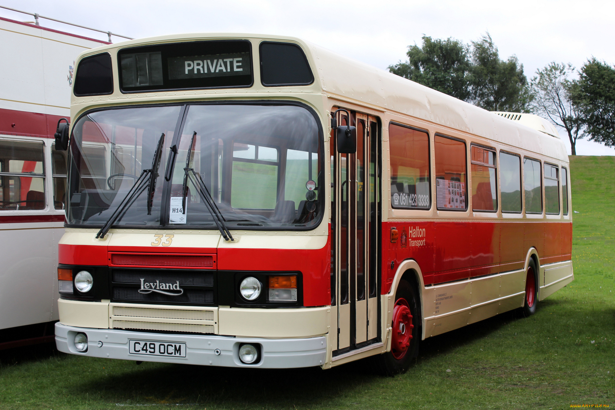 автомобили, автобусы, транспорт, пассажирский