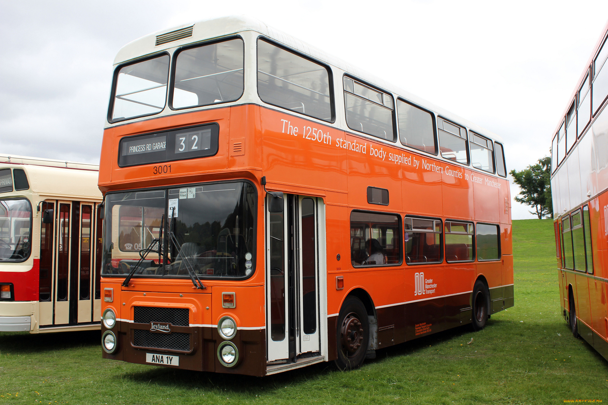 автомобили, автобусы, транспорт, пассажирский