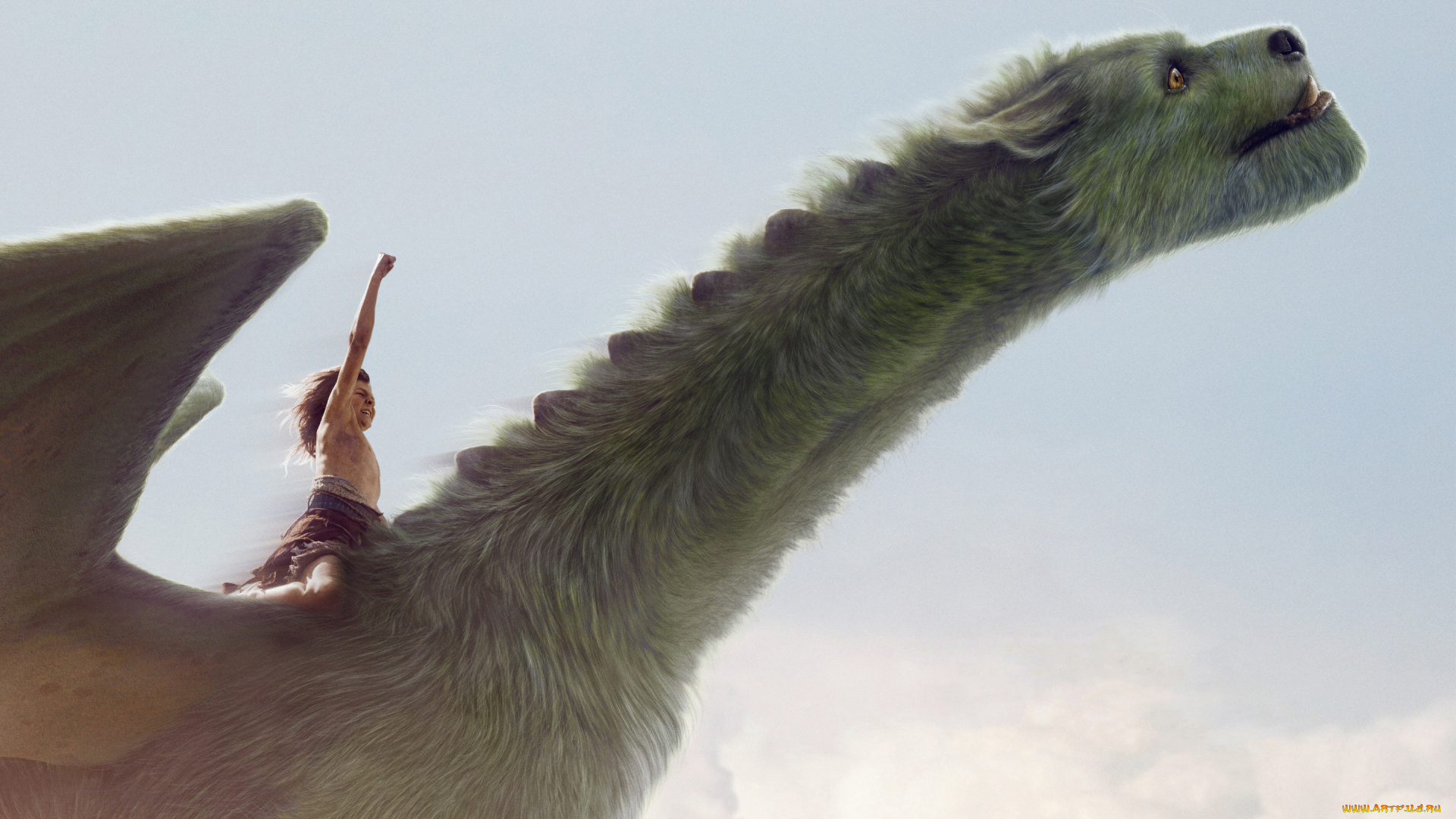 кино, фильмы, pete`s, dragon, dragon, pete