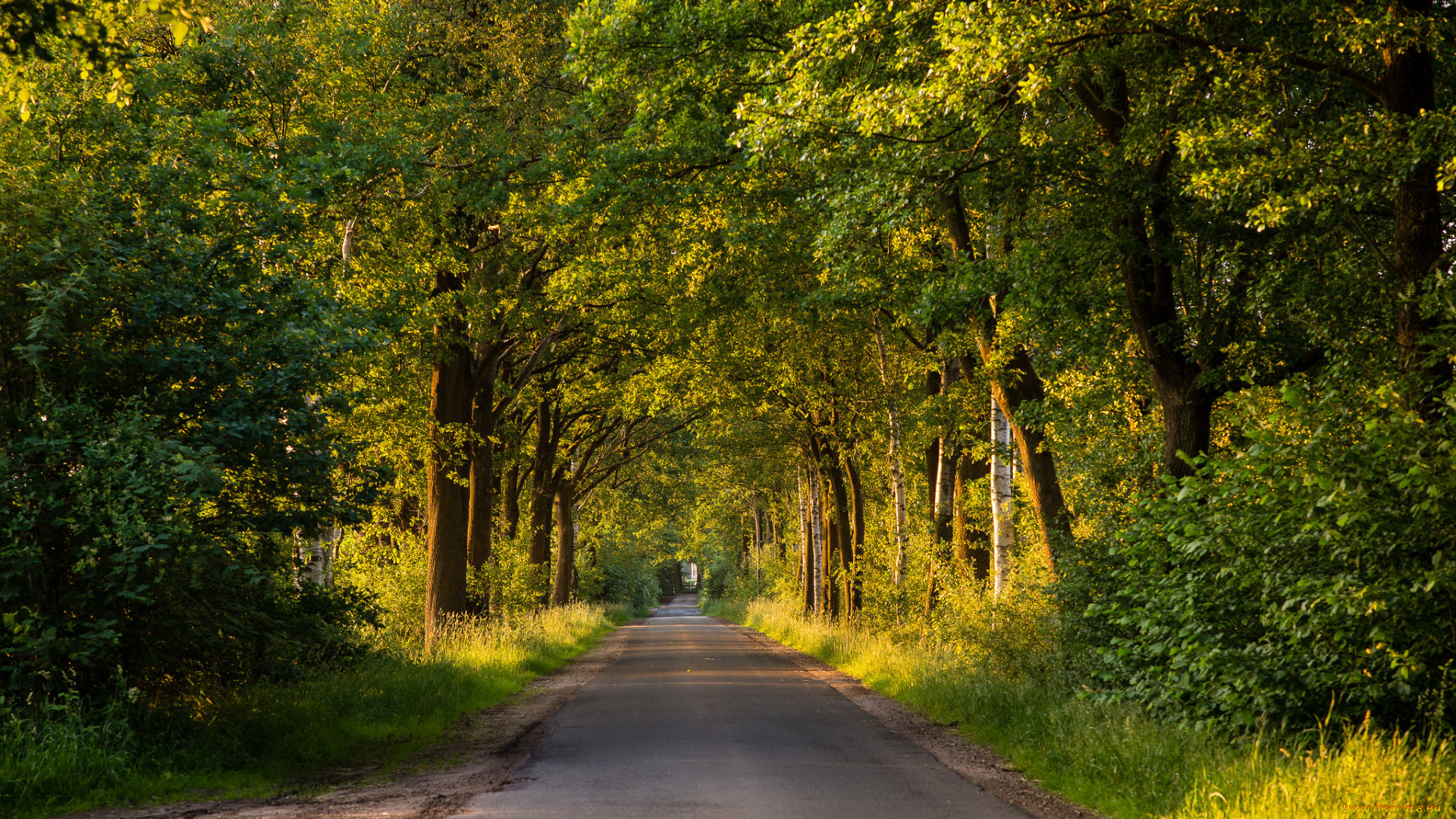 природа, дороги, тракт