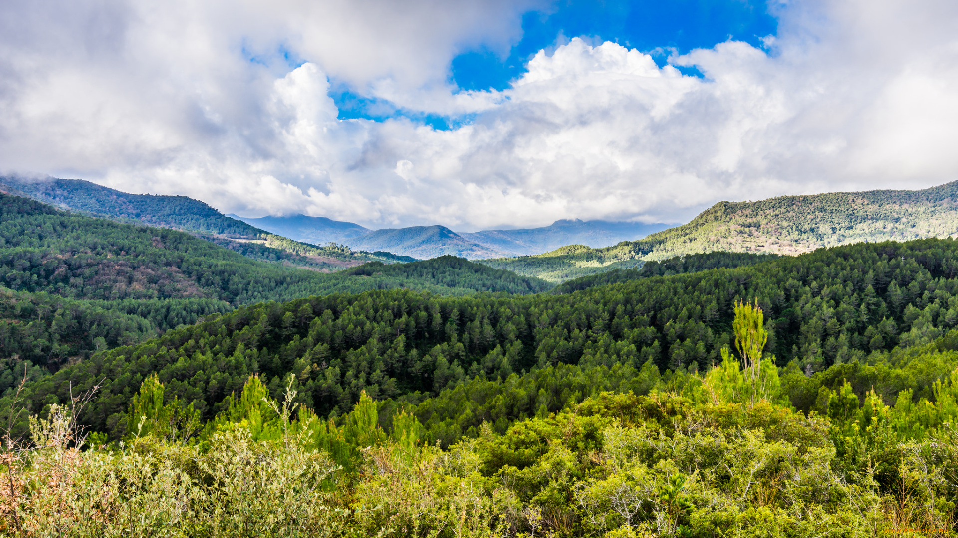 природа, пейзажи, простор