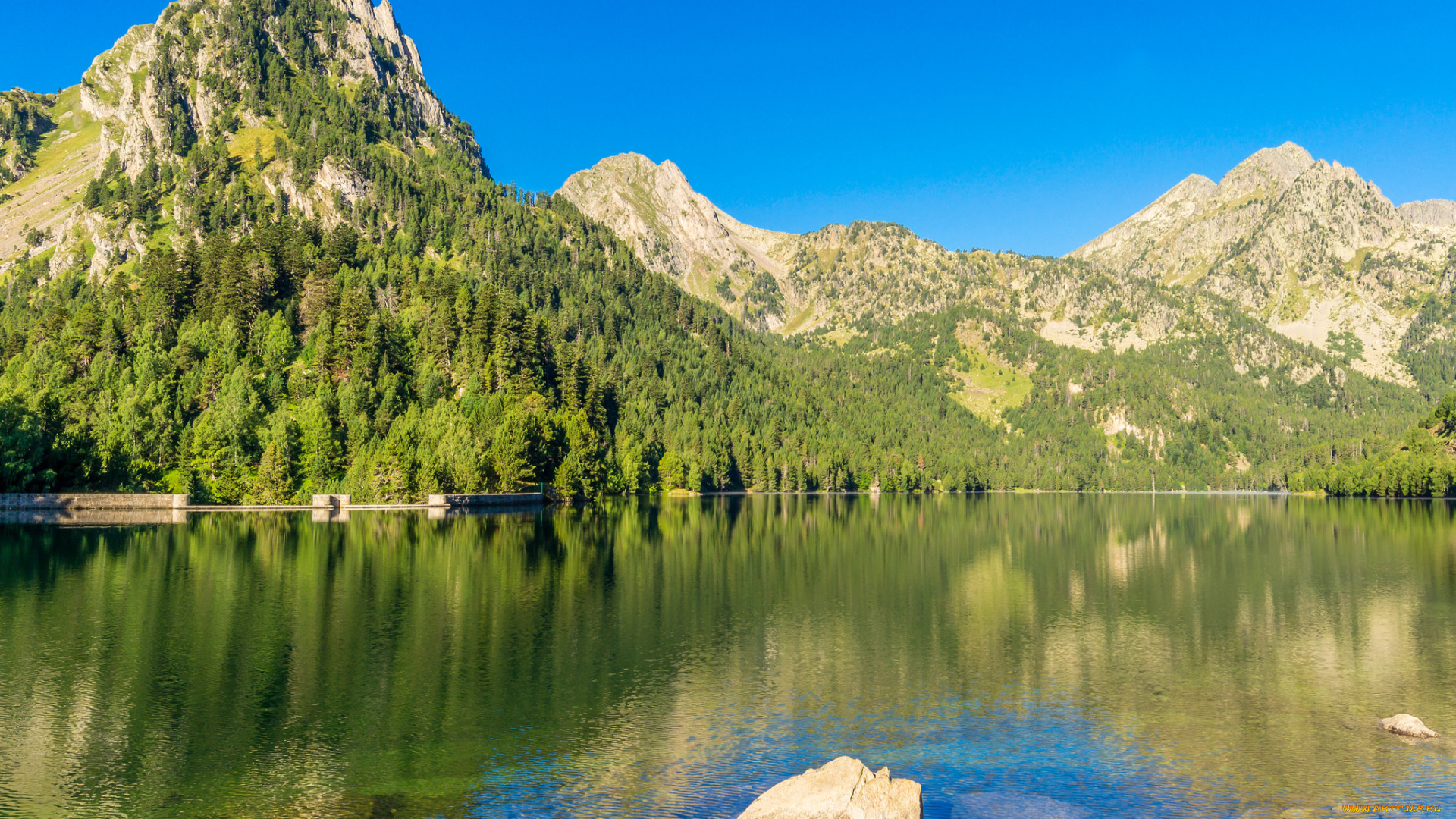 природа, реки, озера, лес, река