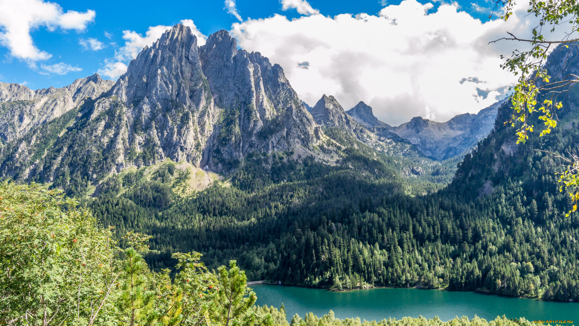 природа, реки, озера, лес, река