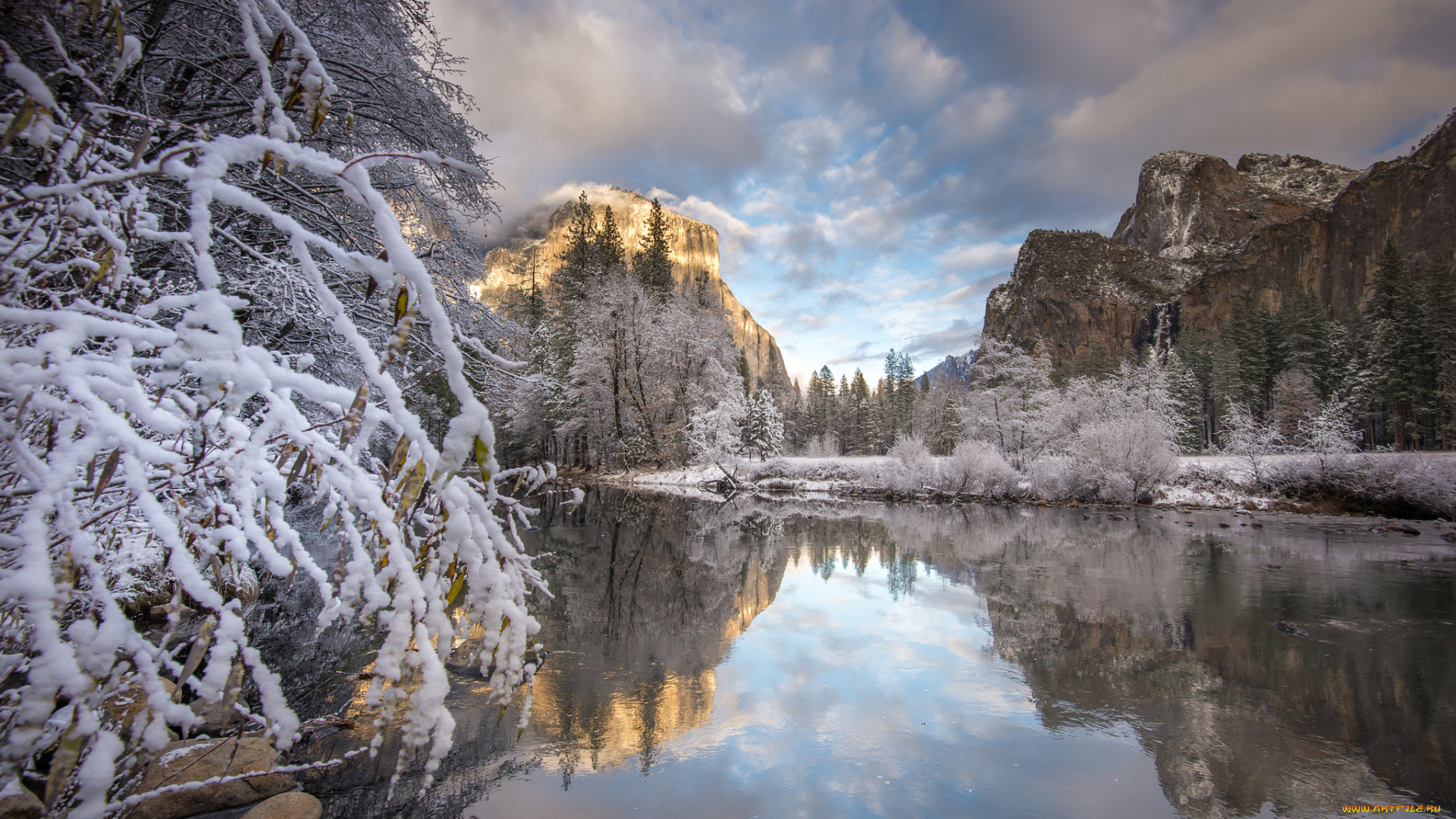 природа, реки, озера, лес, река